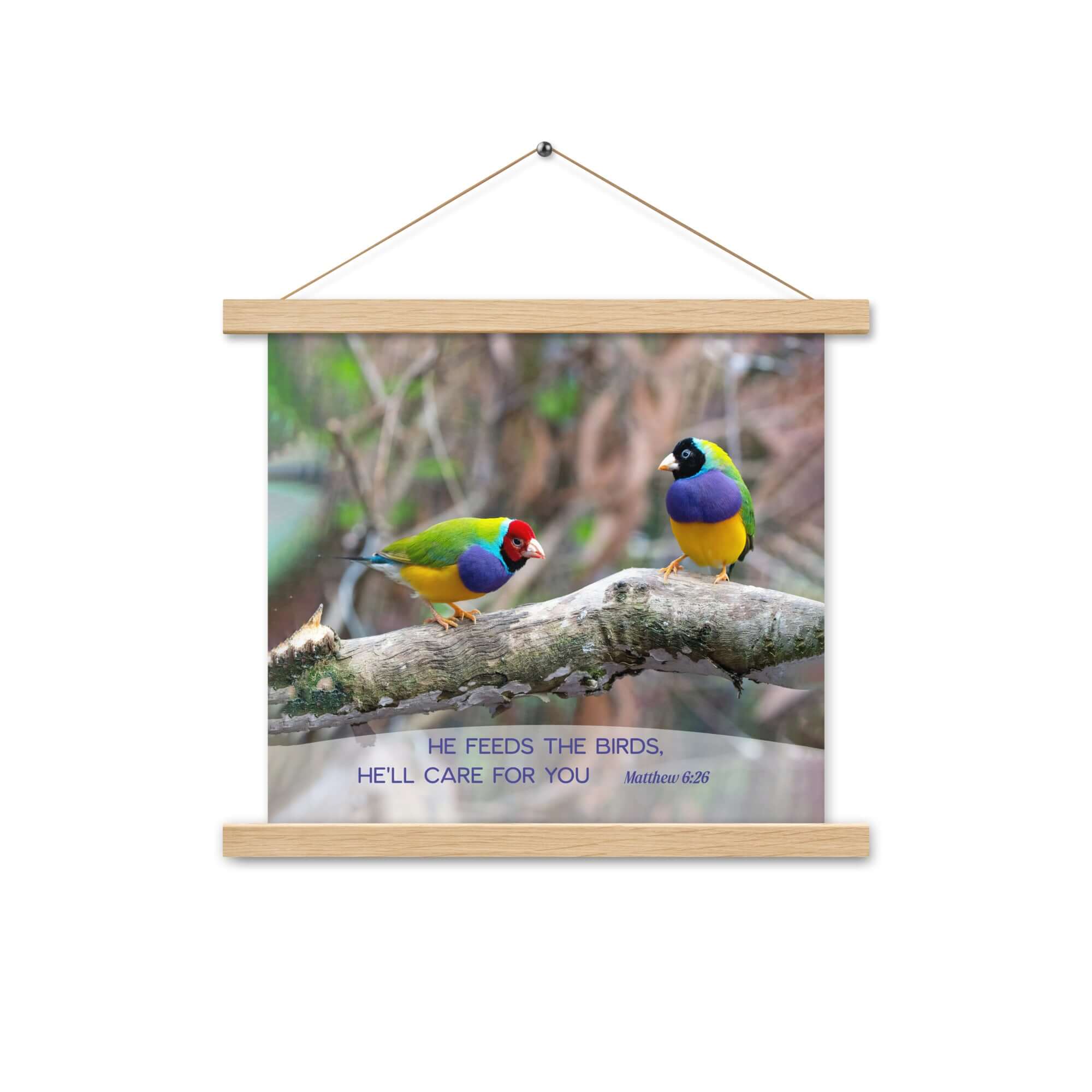 Matthew 6:26 Gouldian Finches, He'll Care for You Enhanced Matte Paper Poster With Hanger Wall Art Oak 14″×14″