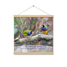 Matthew 6:26 Gouldian Finches, He'll Care for You Enhanced Matte Paper Poster With Hanger Wall Art Oak 16″×16″