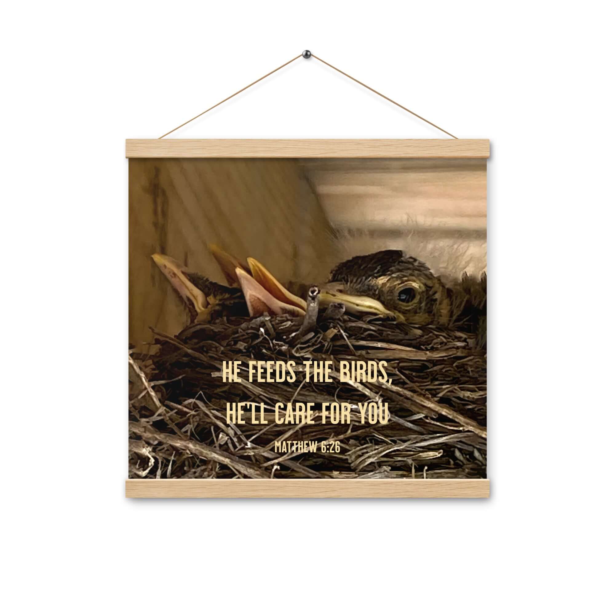 Matthew 6:26 Baby Robins, He'll Care for You Enhanced Matte Paper Poster With Hanger Wall Art Oak 16″×16″