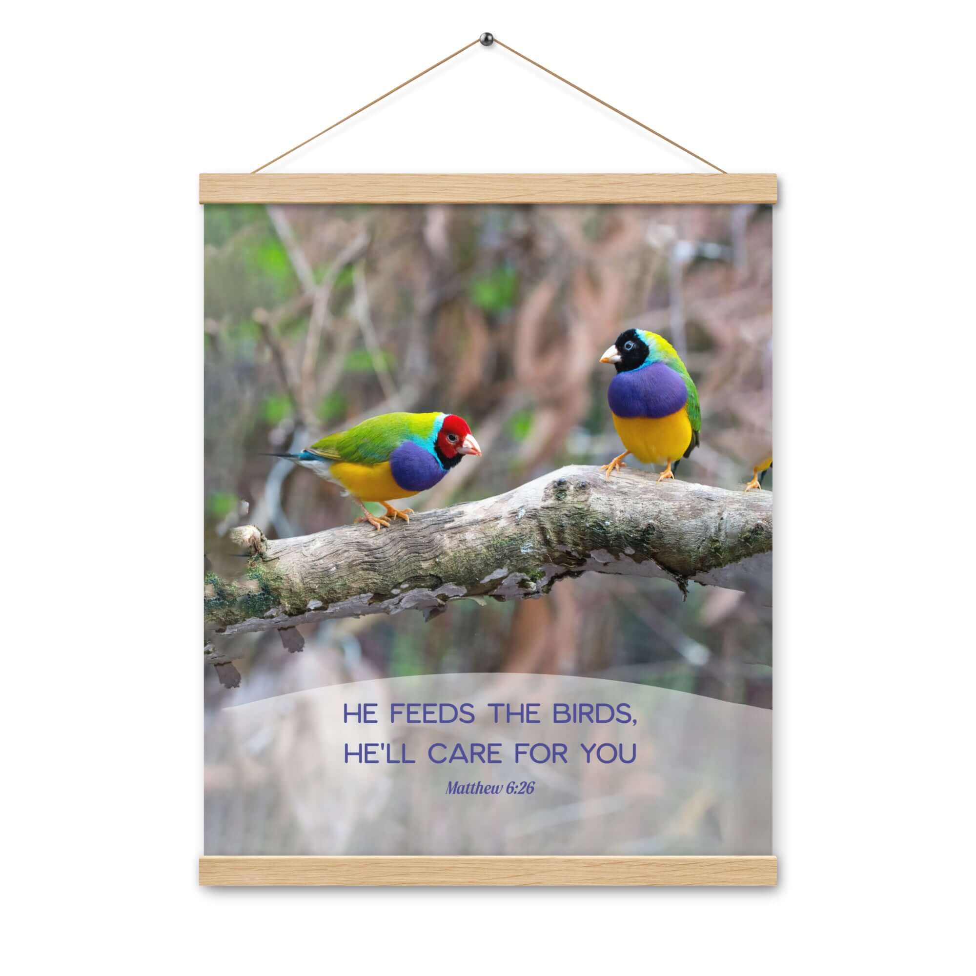 Matthew 6:26 Gouldian Finches, He'll Care for You Enhanced Matte Paper Poster With Hanger Wall Art