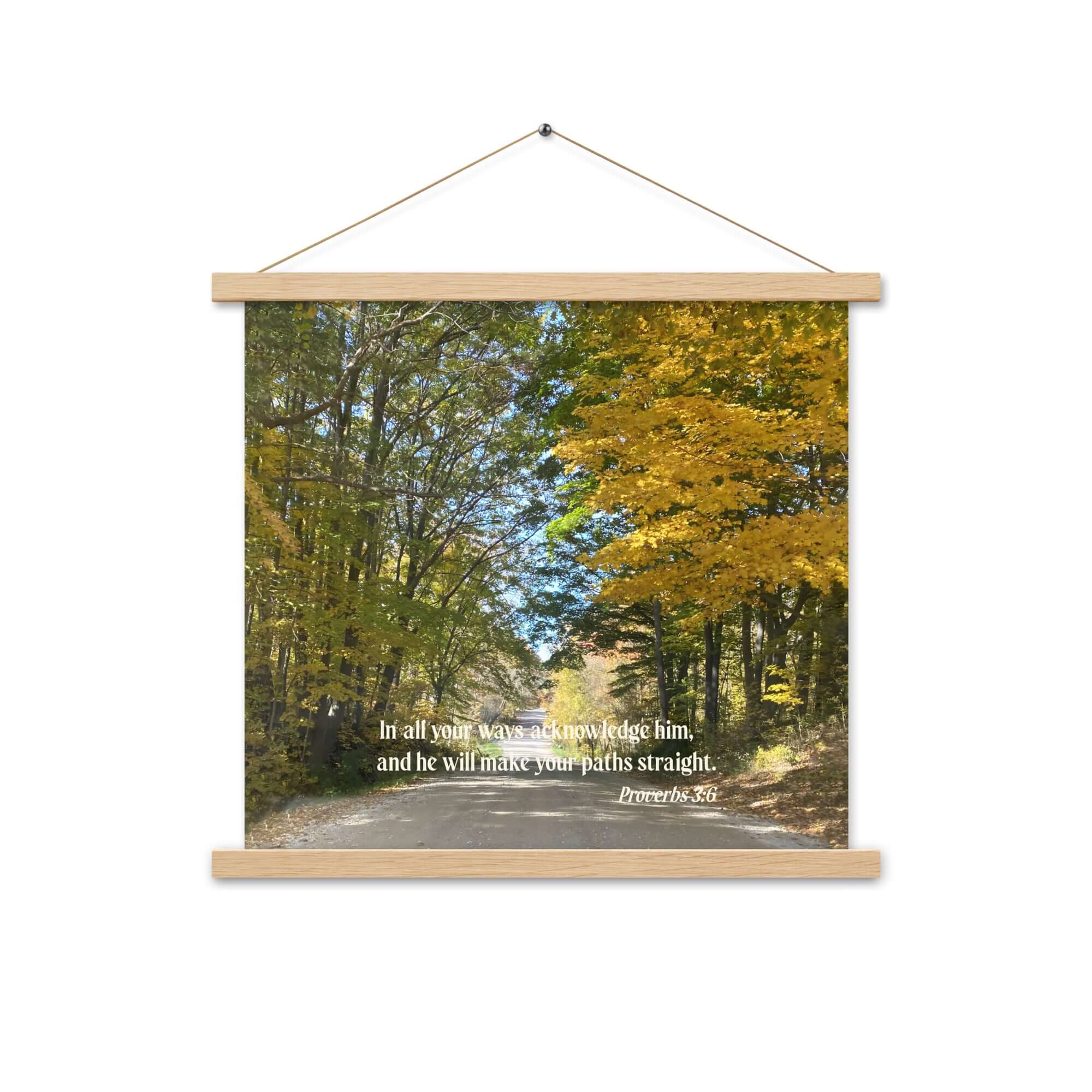Proverbs 3:6 Bible Verse, Fall Road Enhanced Matte Paper Poster With Hanger Wall Art Oak 18″×18″