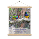 Matthew 6:26 Gouldian Finches, He'll Care for You Enhanced Matte Paper Poster With Hanger Wall Art