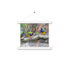 Matthew 6:26 Gouldian Finches, He'll Care for You Enhanced Matte Paper Poster With Hanger Wall Art White 10″×10″