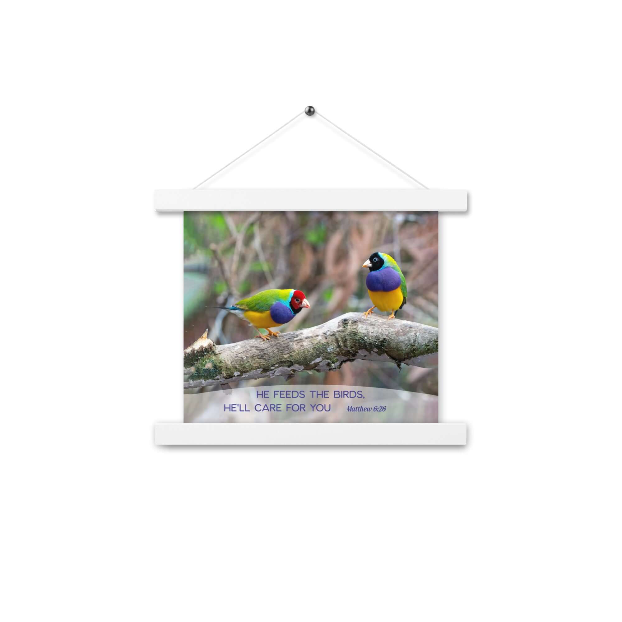 Matthew 6:26 Gouldian Finches, He'll Care for You Enhanced Matte Paper Poster With Hanger Wall Art White 10″×10″