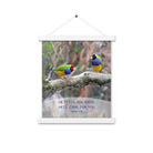 Matthew 6:26 Gouldian Finches, He'll Care for You Enhanced Matte Paper Poster With Hanger Wall Art