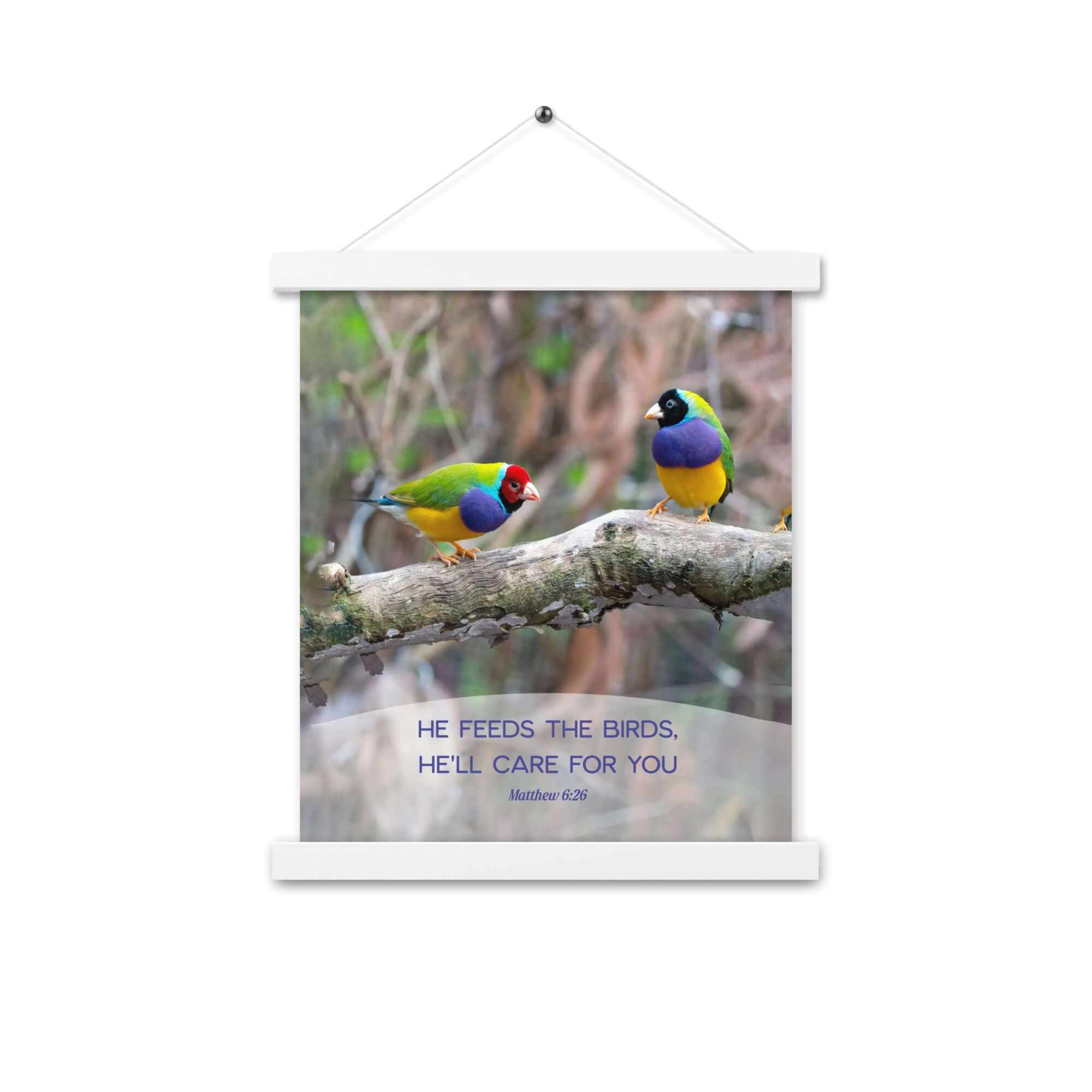 Matthew 6:26 Gouldian Finches, He'll Care for You Enhanced Matte Paper Poster With Hanger Wall Art