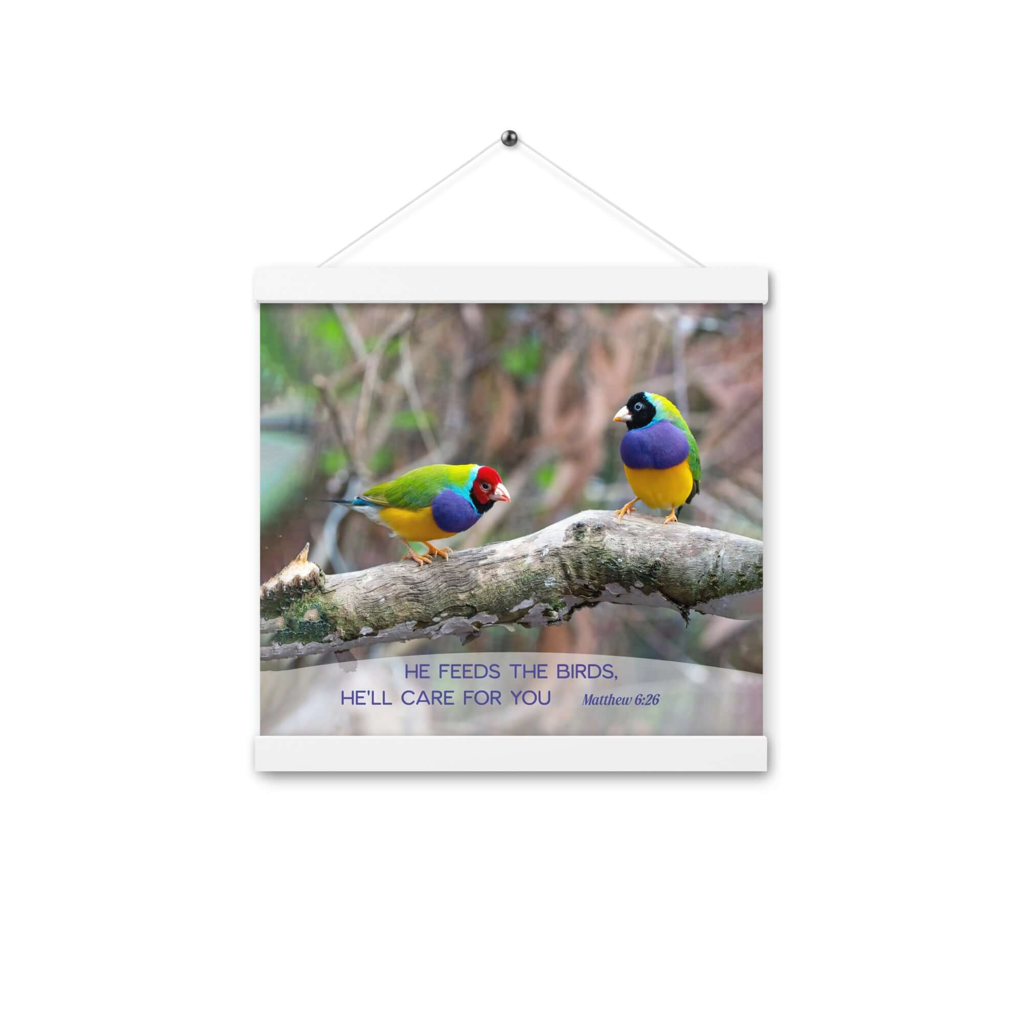 Matthew 6:26 Gouldian Finches, He'll Care for You Enhanced Matte Paper Poster With Hanger Wall Art White 12″×12″