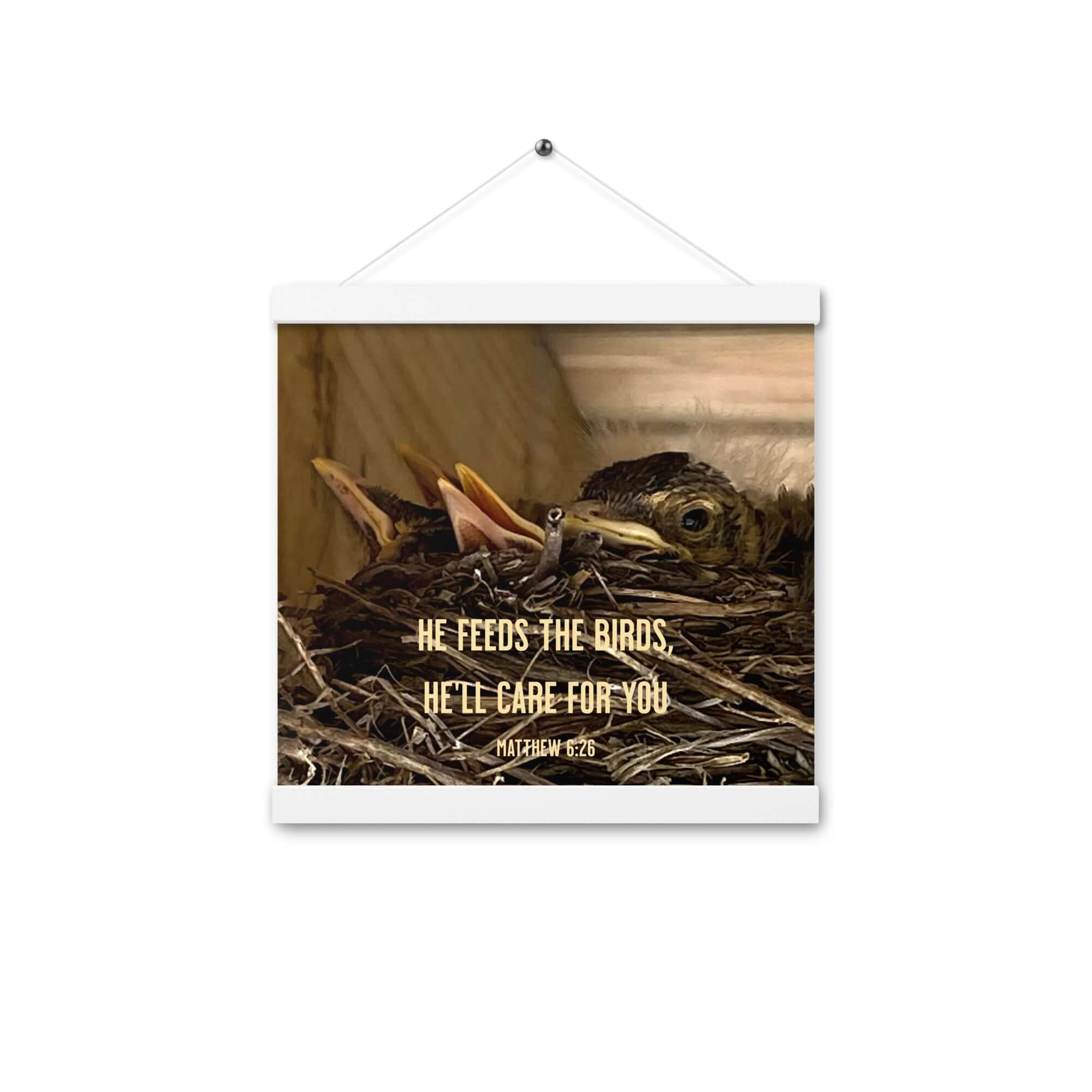Matthew 6:26 Baby Robins, He'll Care for You Enhanced Matte Paper Poster With Hanger Wall Art White 12″×12″