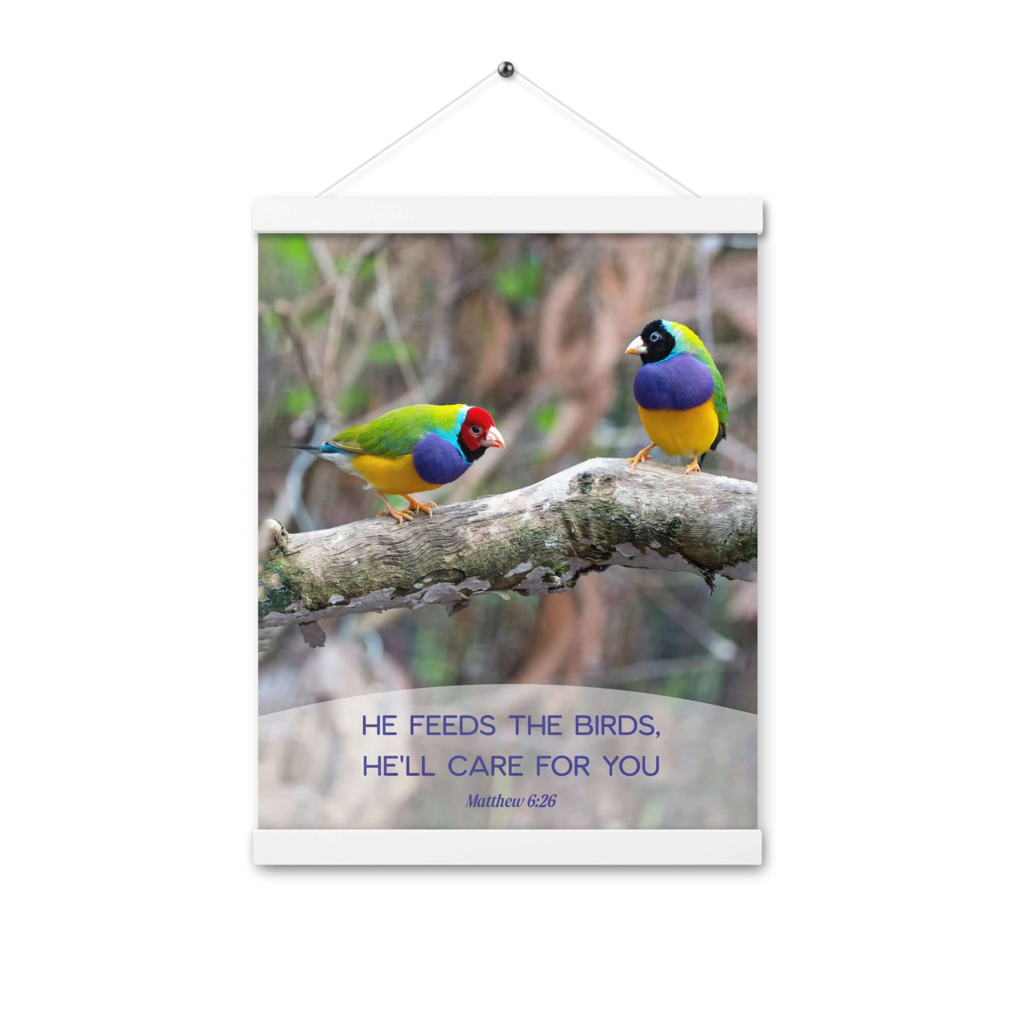 Matthew 6:26 Gouldian Finches, He'll Care for You Enhanced Matte Paper Poster With Hanger Wall Art White 12″×16″