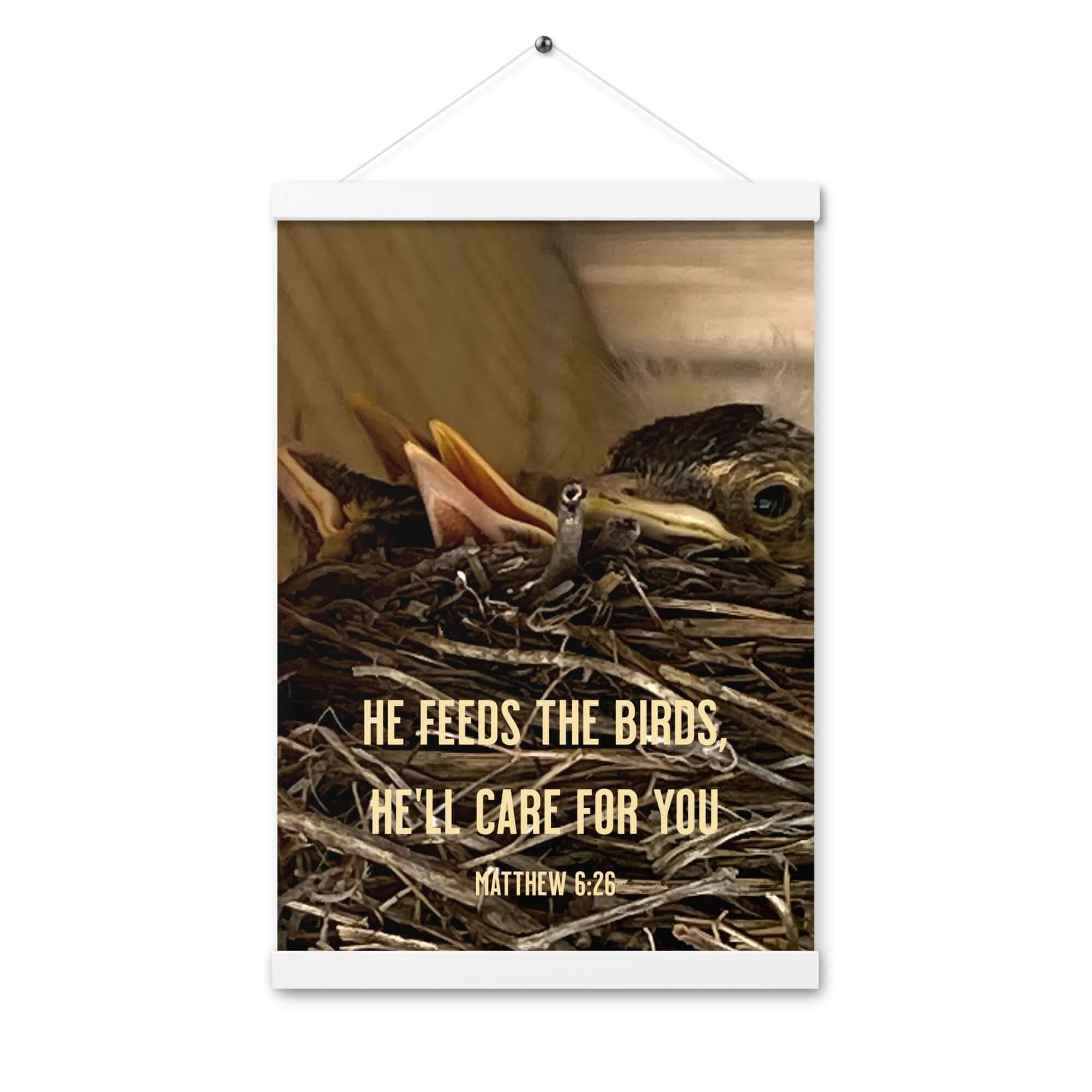 Matthew 6:26 Baby Robins, He'll Care for You Enhanced Matte Paper Poster With Hanger Wall Art