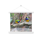Matthew 6:26 Gouldian Finches, He'll Care for You Enhanced Matte Paper Poster With Hanger Wall Art White 14″×14″