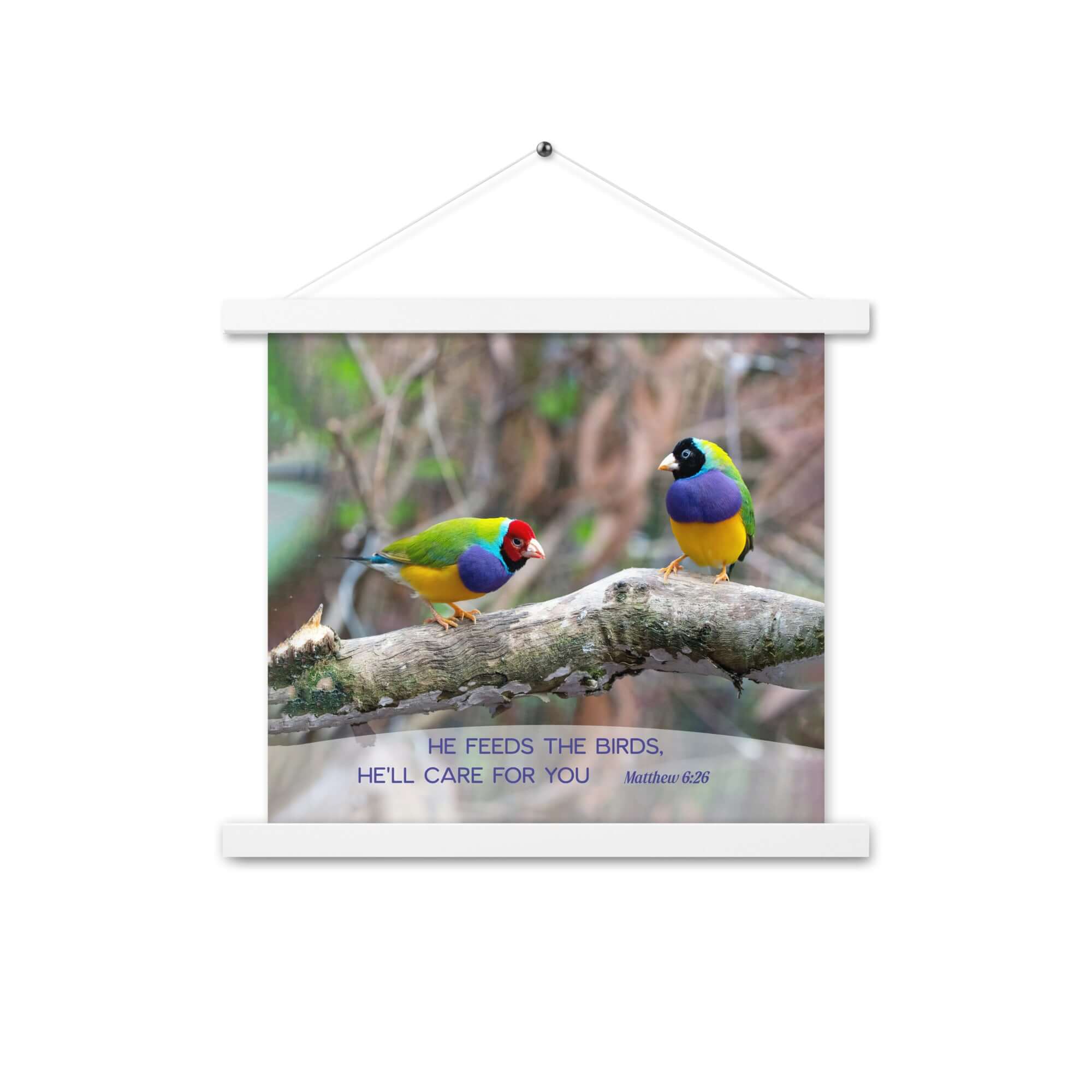 Matthew 6:26 Gouldian Finches, He'll Care for You Enhanced Matte Paper Poster With Hanger Wall Art White 14″×14″
