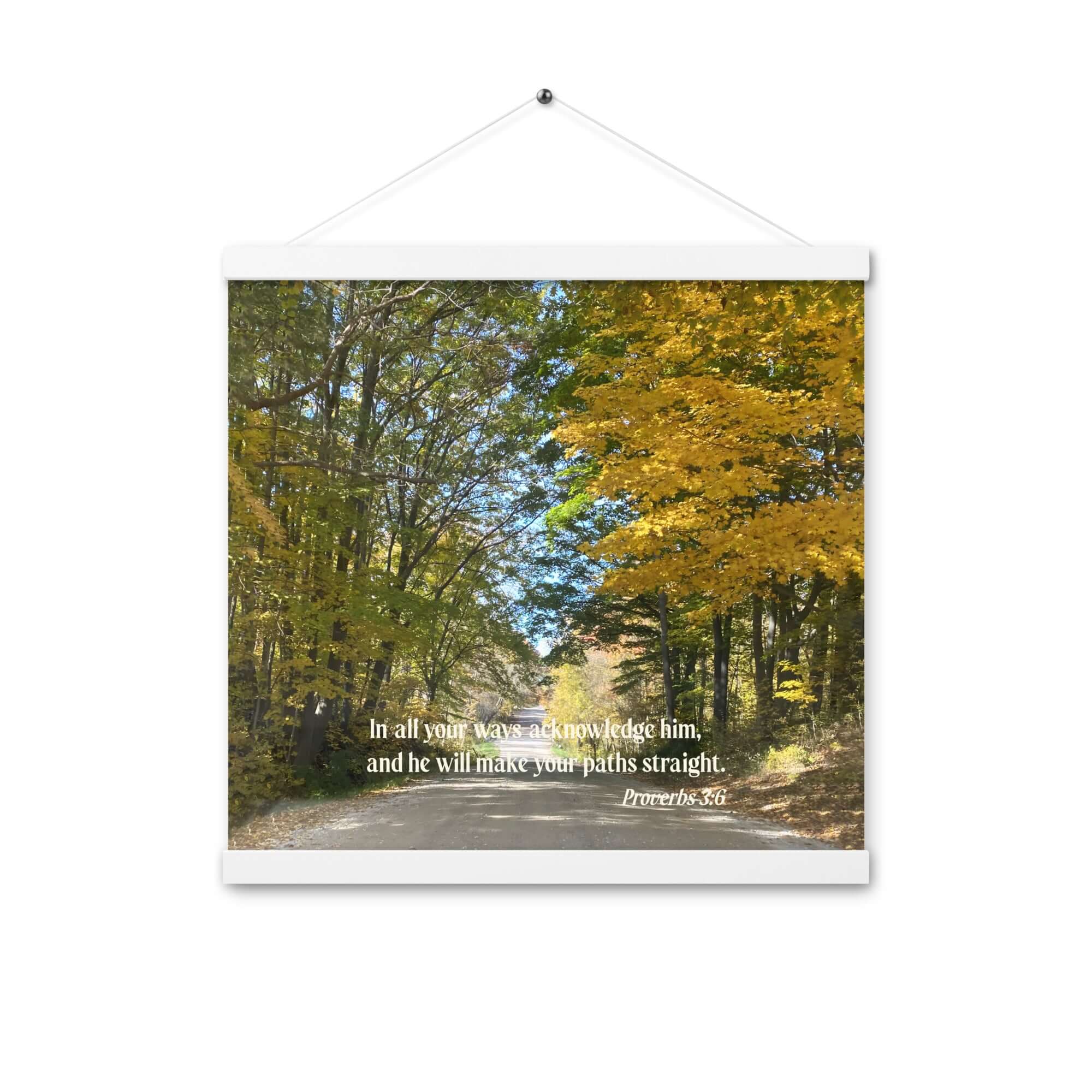 Proverbs 3:6 Bible Verse, Fall Road Enhanced Matte Paper Poster With Hanger Wall Art White 16″×16″