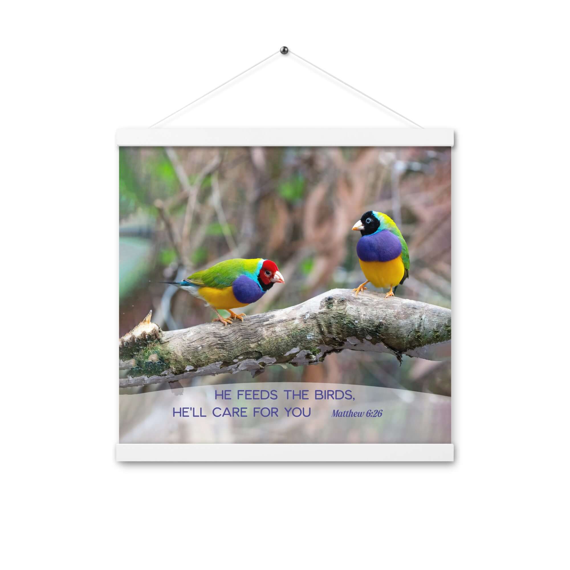 Matthew 6:26 Gouldian Finches, He'll Care for You Enhanced Matte Paper Poster With Hanger Wall Art White 16″×16″