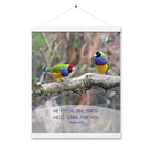 Matthew 6:26 Gouldian Finches, He'll Care for You Enhanced Matte Paper Poster With Hanger Wall Art White 16″×20″