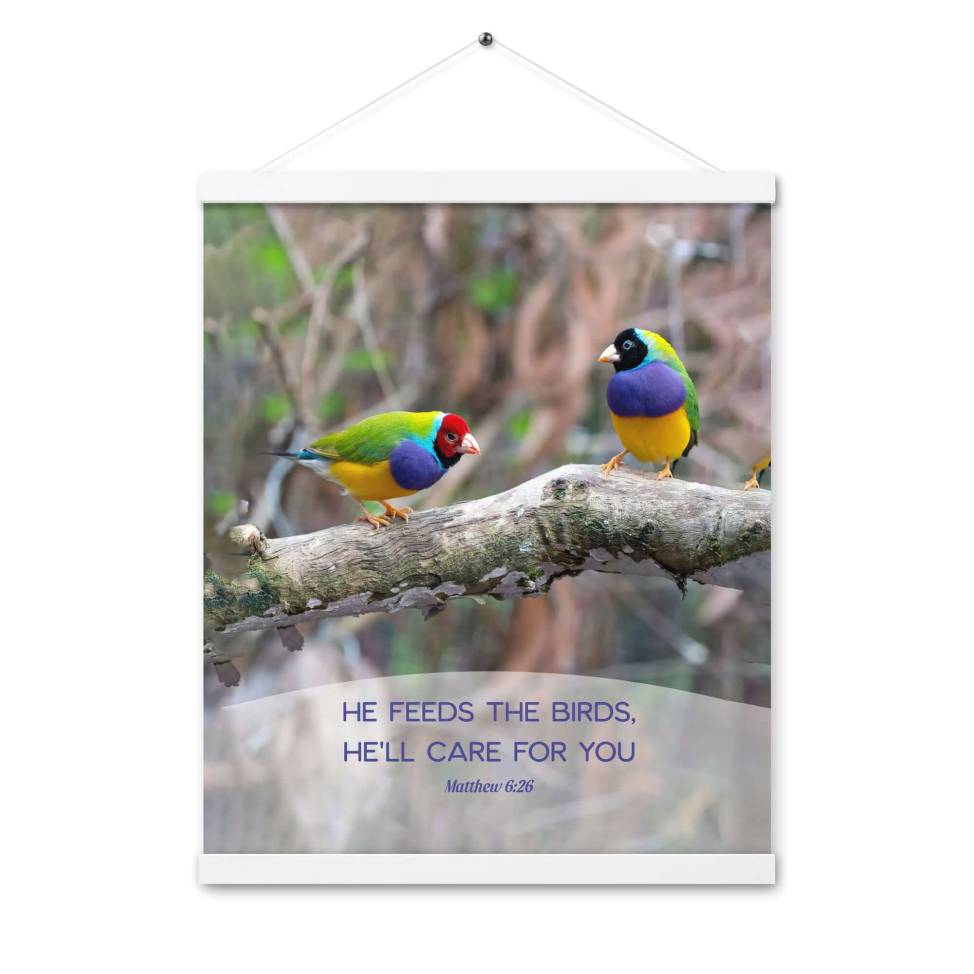 Matthew 6:26 Gouldian Finches, He'll Care for You Enhanced Matte Paper Poster With Hanger Wall Art White 16″×20″