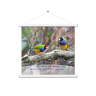 Matthew 6:26 Gouldian Finches, He'll Care for You Enhanced Matte Paper Poster With Hanger Wall Art White 18″×18″