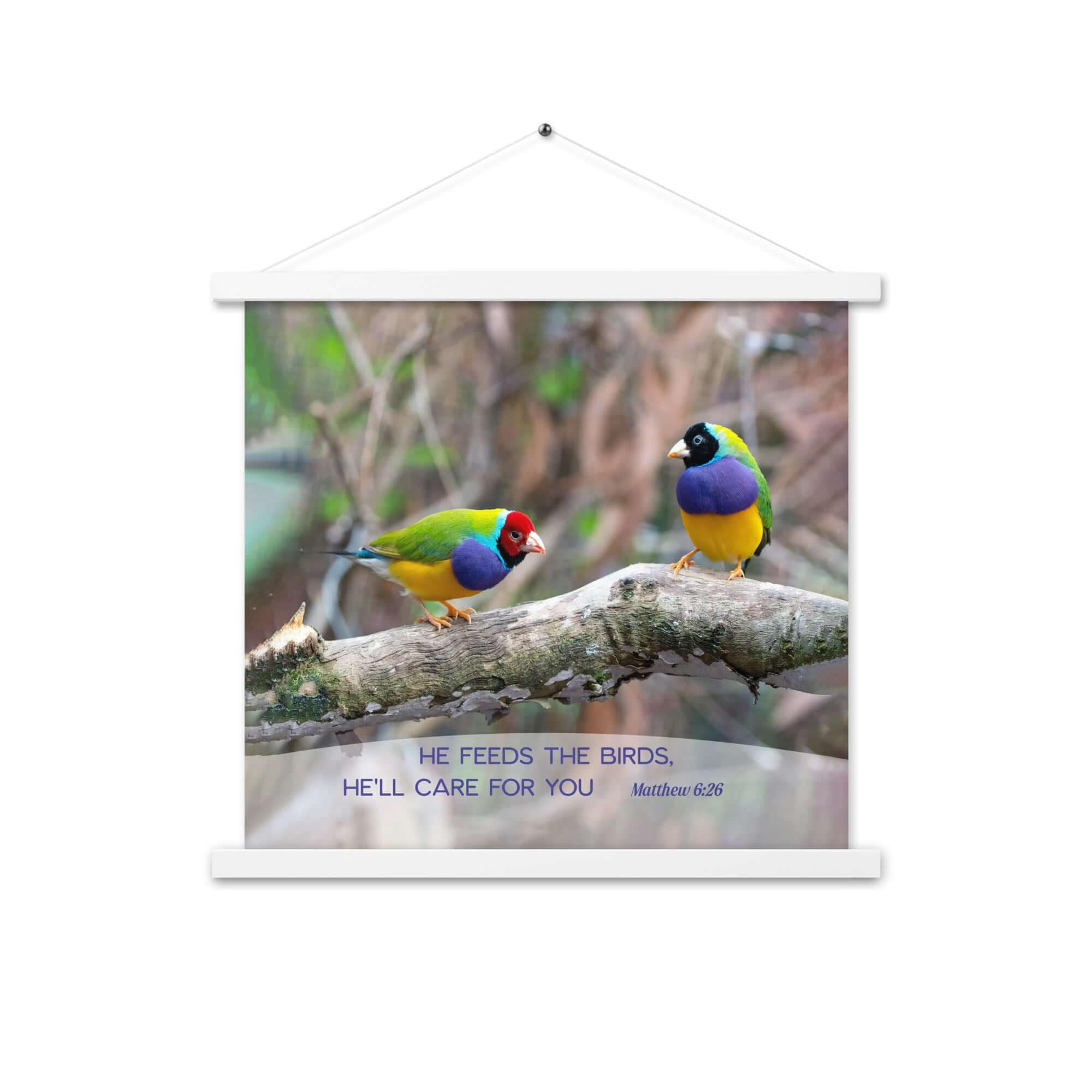 Matthew 6:26 Gouldian Finches, He'll Care for You Enhanced Matte Paper Poster With Hanger Wall Art White 18″×18″