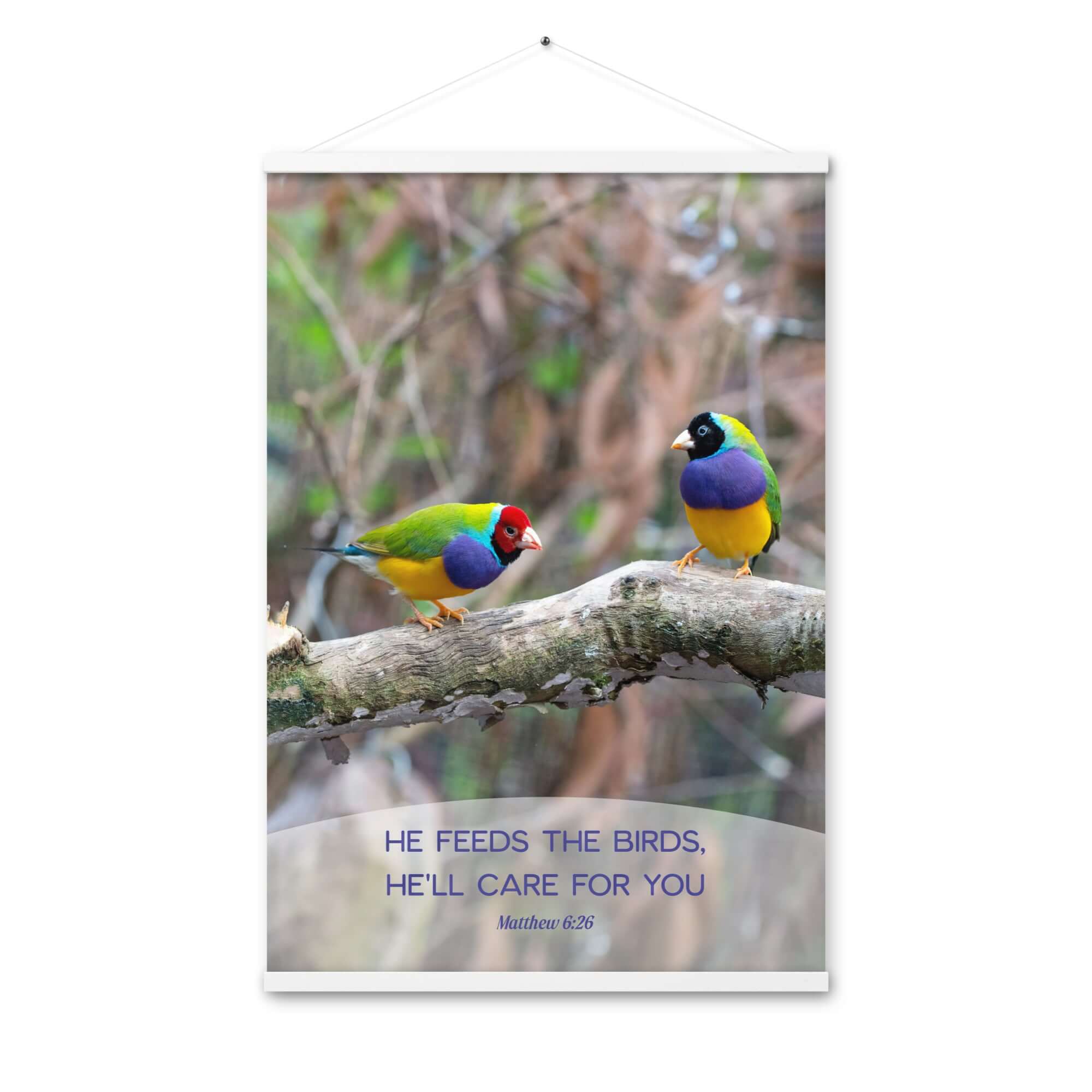Matthew 6:26 Gouldian Finches, He'll Care for You Enhanced Matte Paper Poster With Hanger Wall Art White 24″×36″