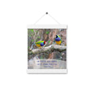 Matthew 6:26 Gouldian Finches, He'll Care for You Enhanced Matte Paper Poster With Hanger Wall Art