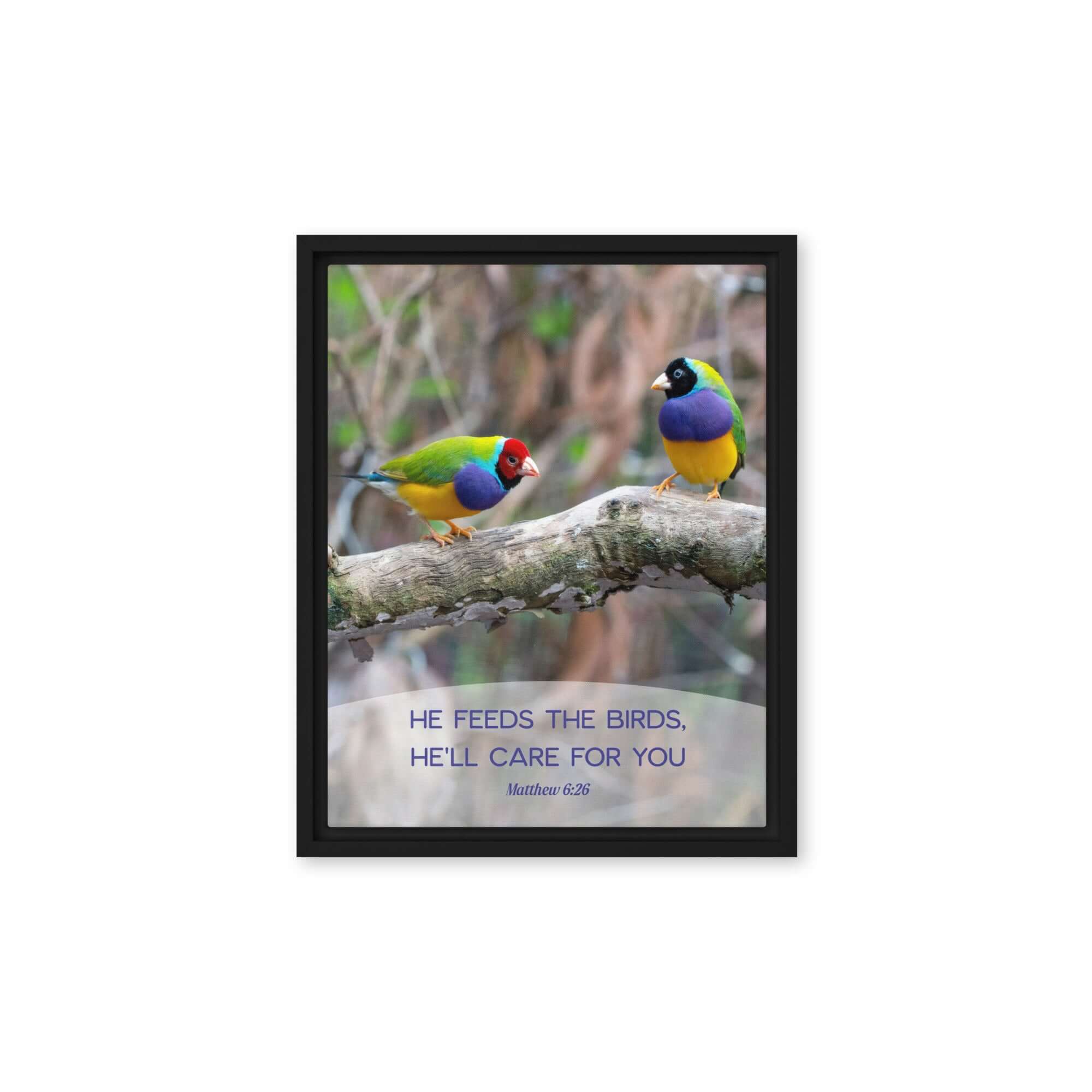 Matthew 6:26 Gouldian Finches, He'll Care for You Framed Canvas Print Wall Art Black 11″×14″