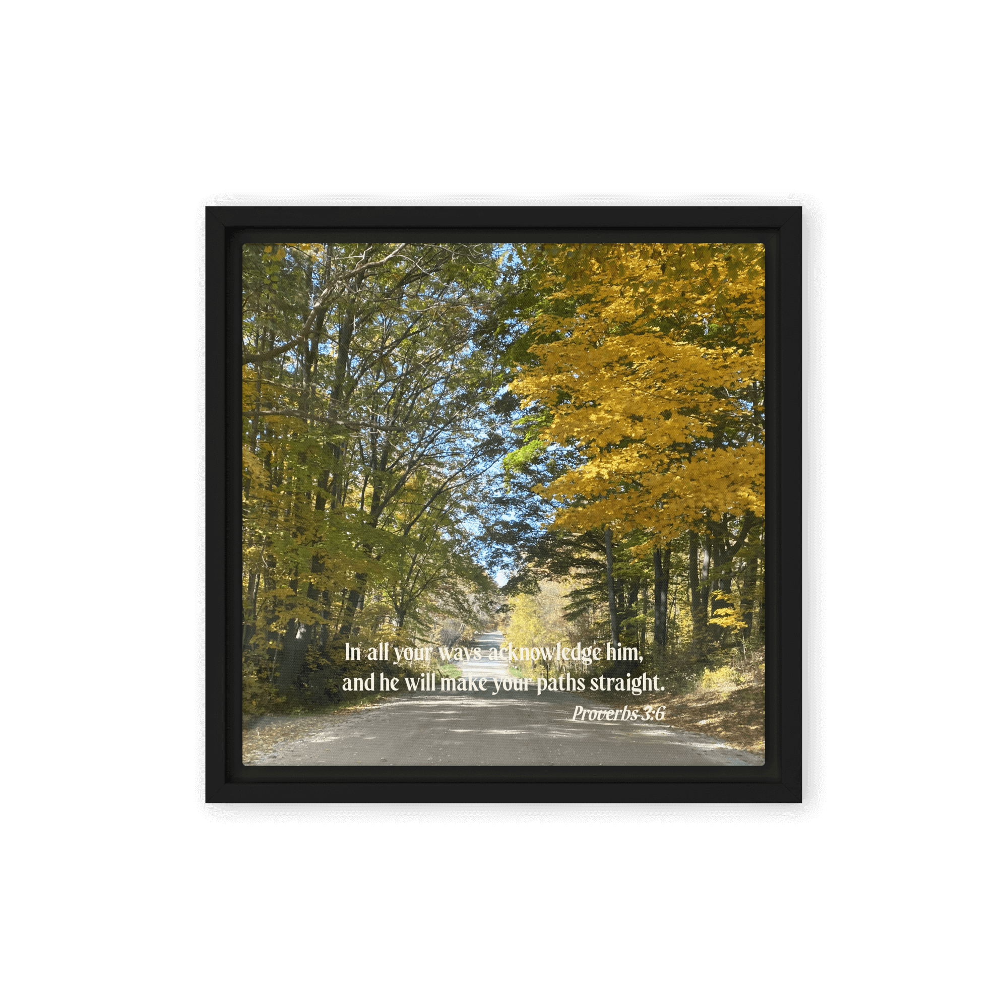 Proverbs 3:6 Bible Verse, Fall Road Framed Canvas Print Wall Art Black 12″×12″