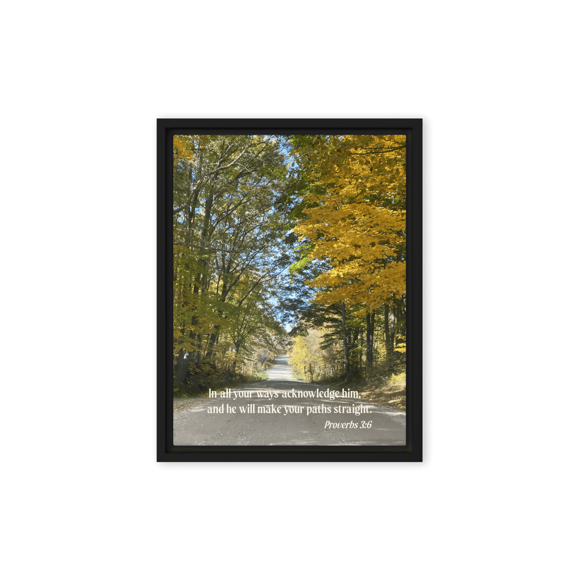 Proverbs 3:6 Bible Verse, Fall Road Framed Canvas Print Wall Art Black 12″×16″