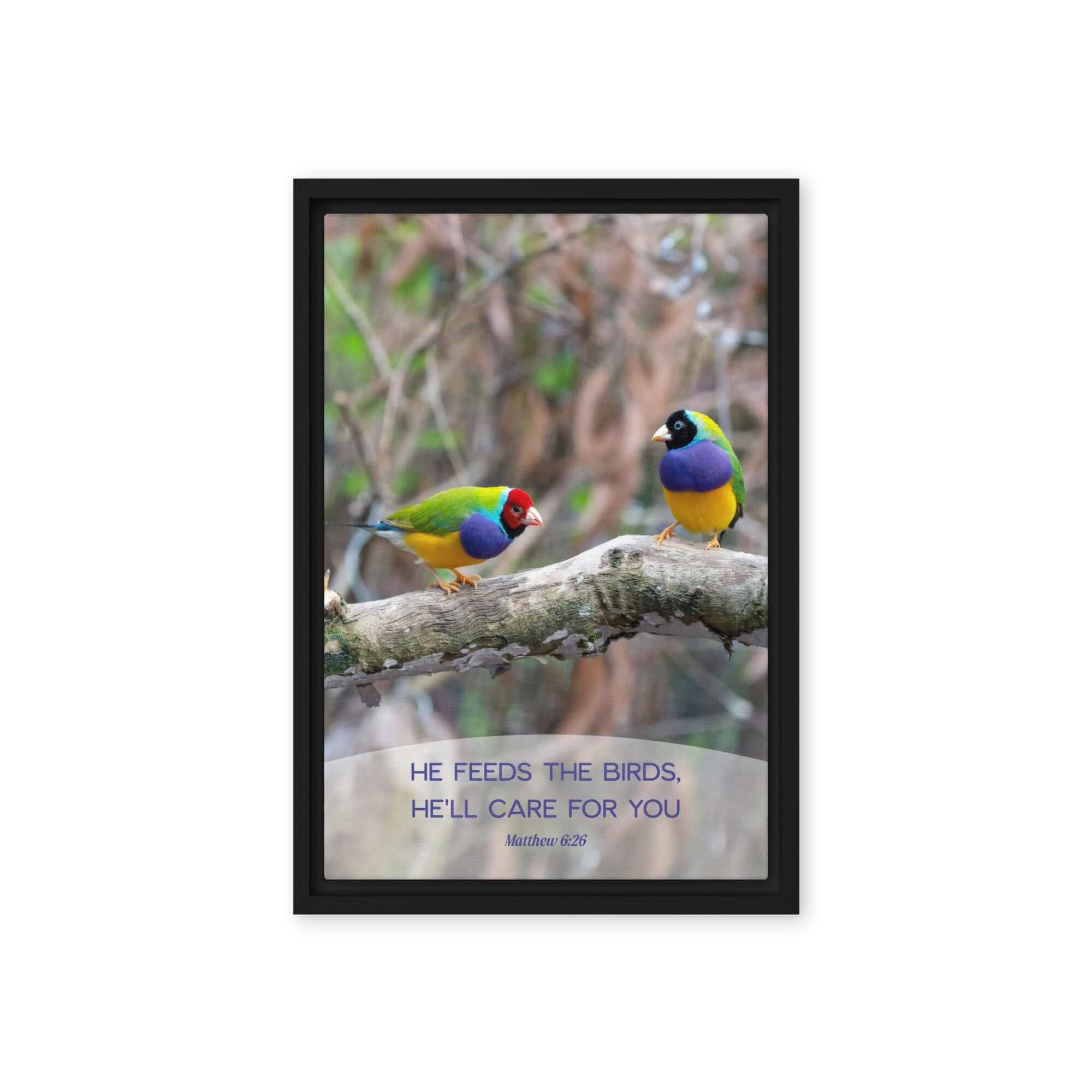 Matthew 6:26 Gouldian Finches, He'll Care for You Framed Canvas Print Wall Art Black 12″×18″