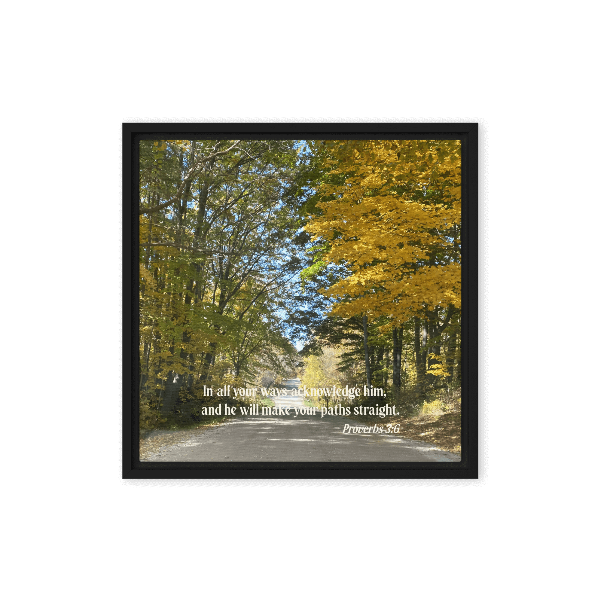 Proverbs 3:6 Bible Verse, Fall Road Framed Canvas Print Wall Art Black 16″×16″