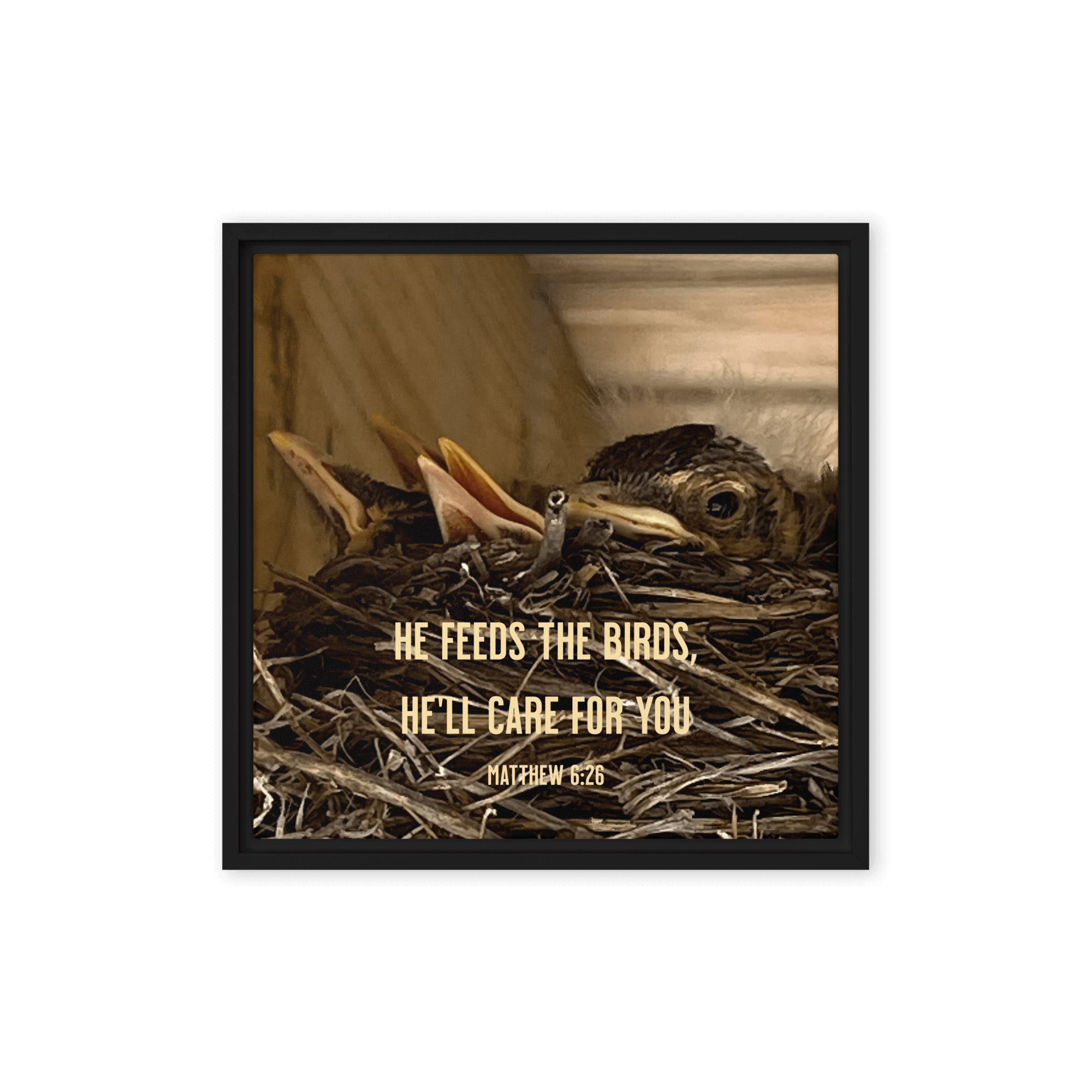 Matthew 6:26 Baby Robins, He'll Care for You Framed Canvas Print Wall Art Black 16″×16″