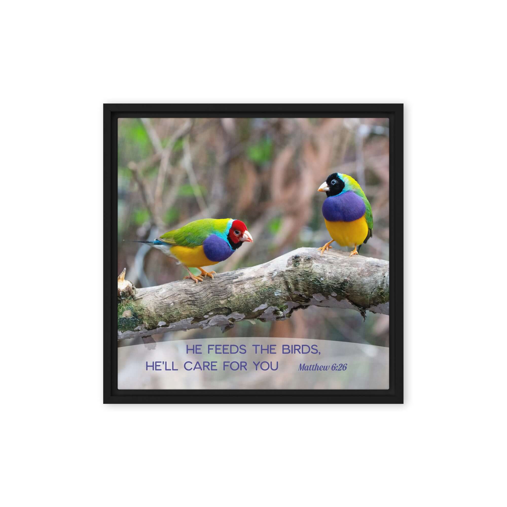 Matthew 6:26 Gouldian Finches, He'll Care for You Framed Canvas Print Wall Art Black 16″×16″