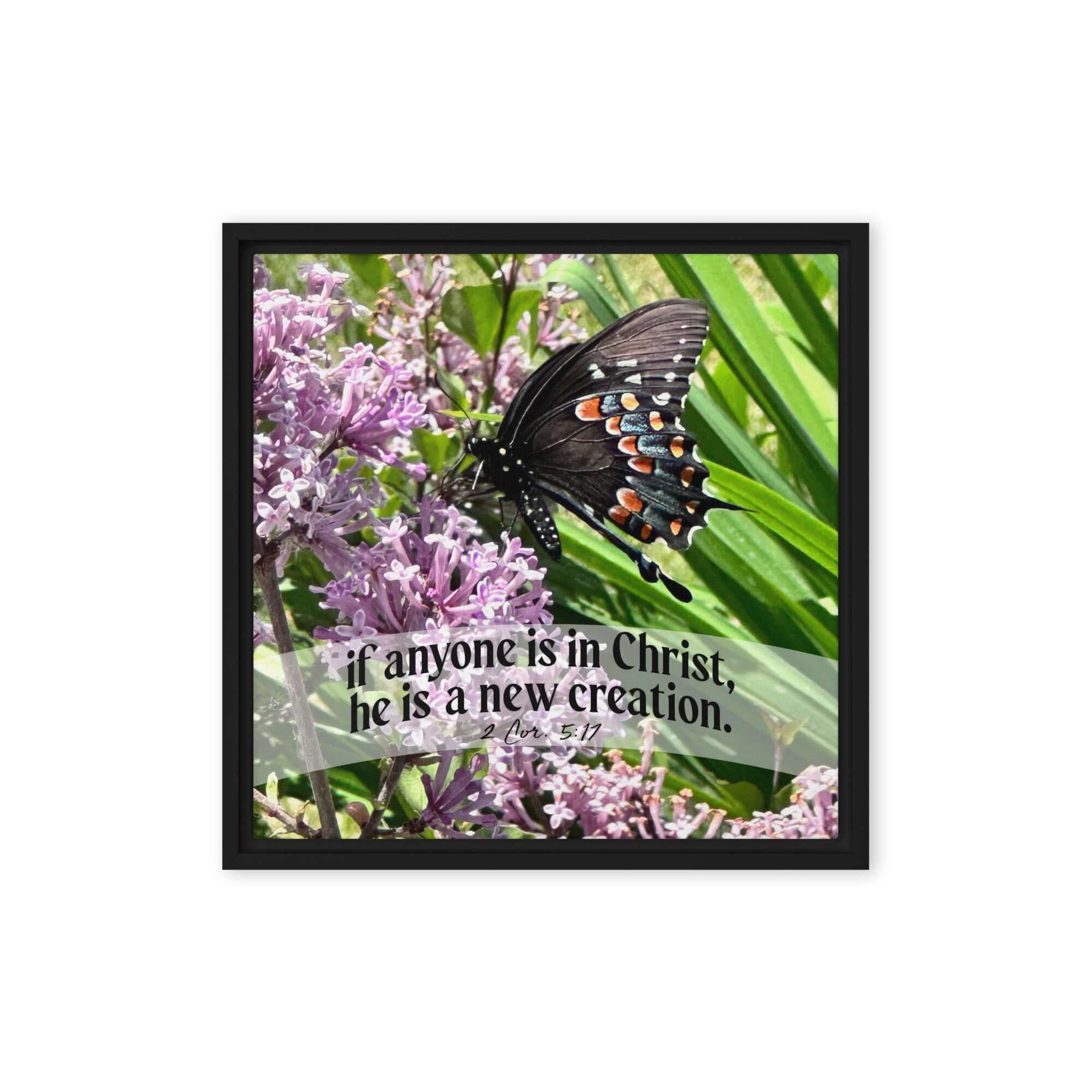 2 Corinthians 5:17 Bible Verse, Butterfly Framed Canvas Print Wall Art Black 16″×16″