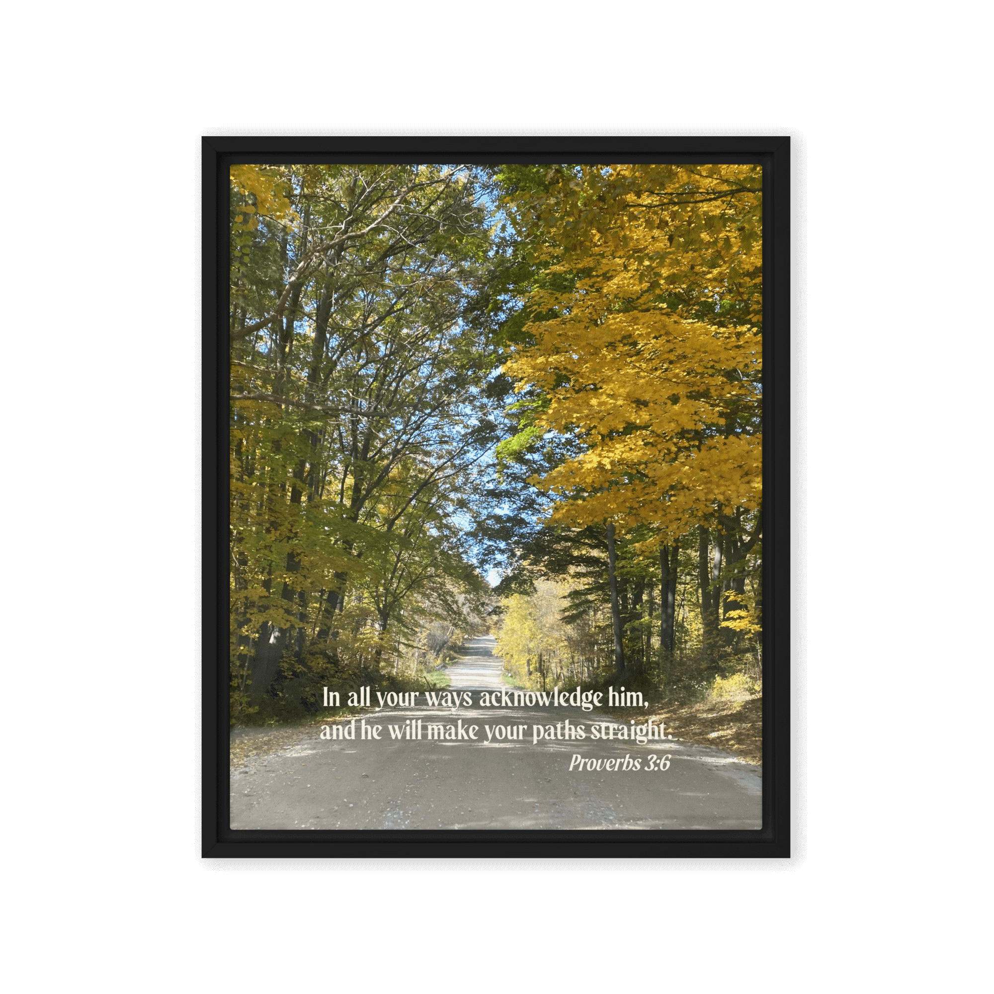 Proverbs 3:6 Bible Verse, Fall Road Framed Canvas Print Wall Art Black 16″×20″
