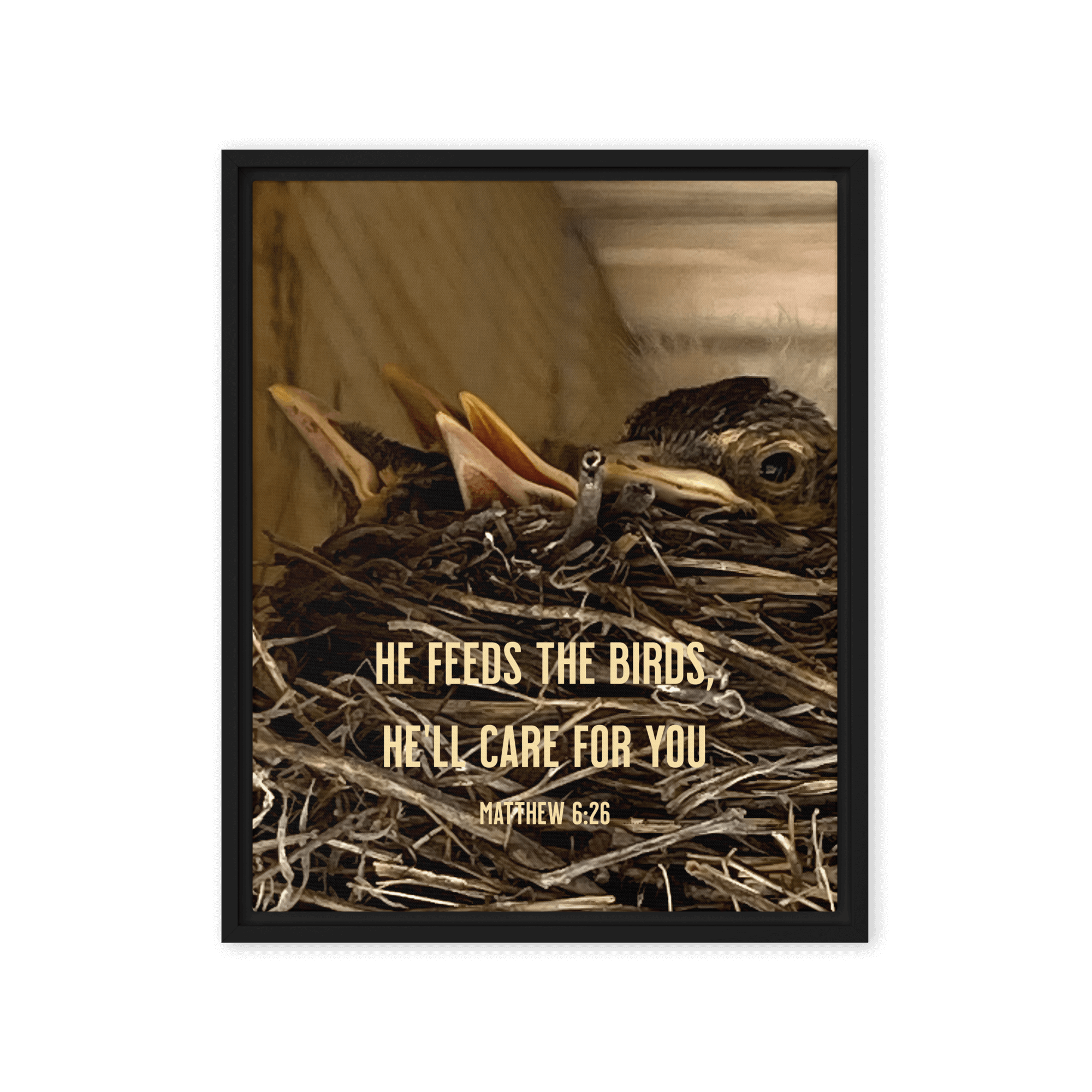 Matthew 6:26 Baby Robins, He'll Care for You Framed Canvas Print Wall Art Black 16″×20″