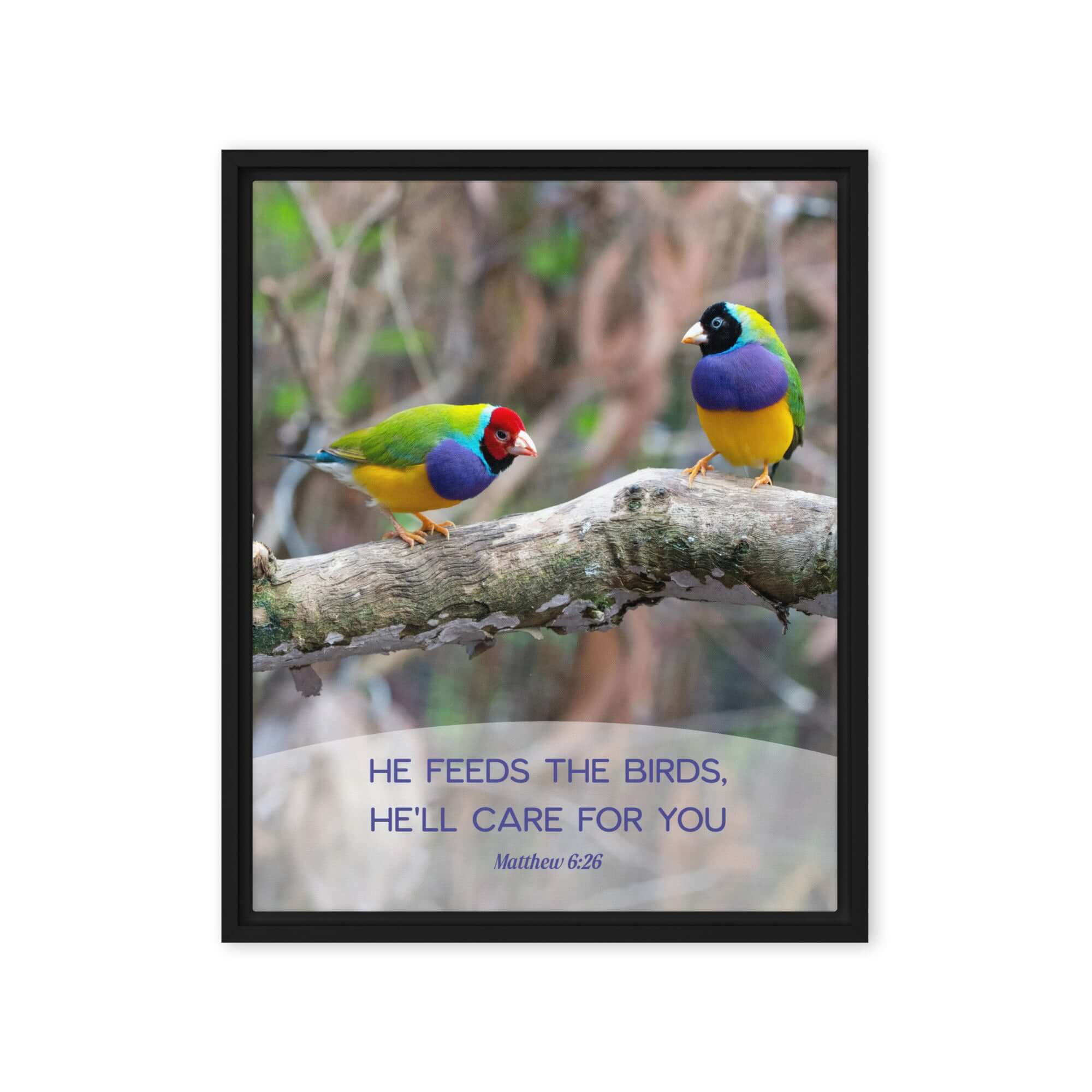 Matthew 6:26 Gouldian Finches, He'll Care for You Framed Canvas Print Wall Art Black 16″×20″