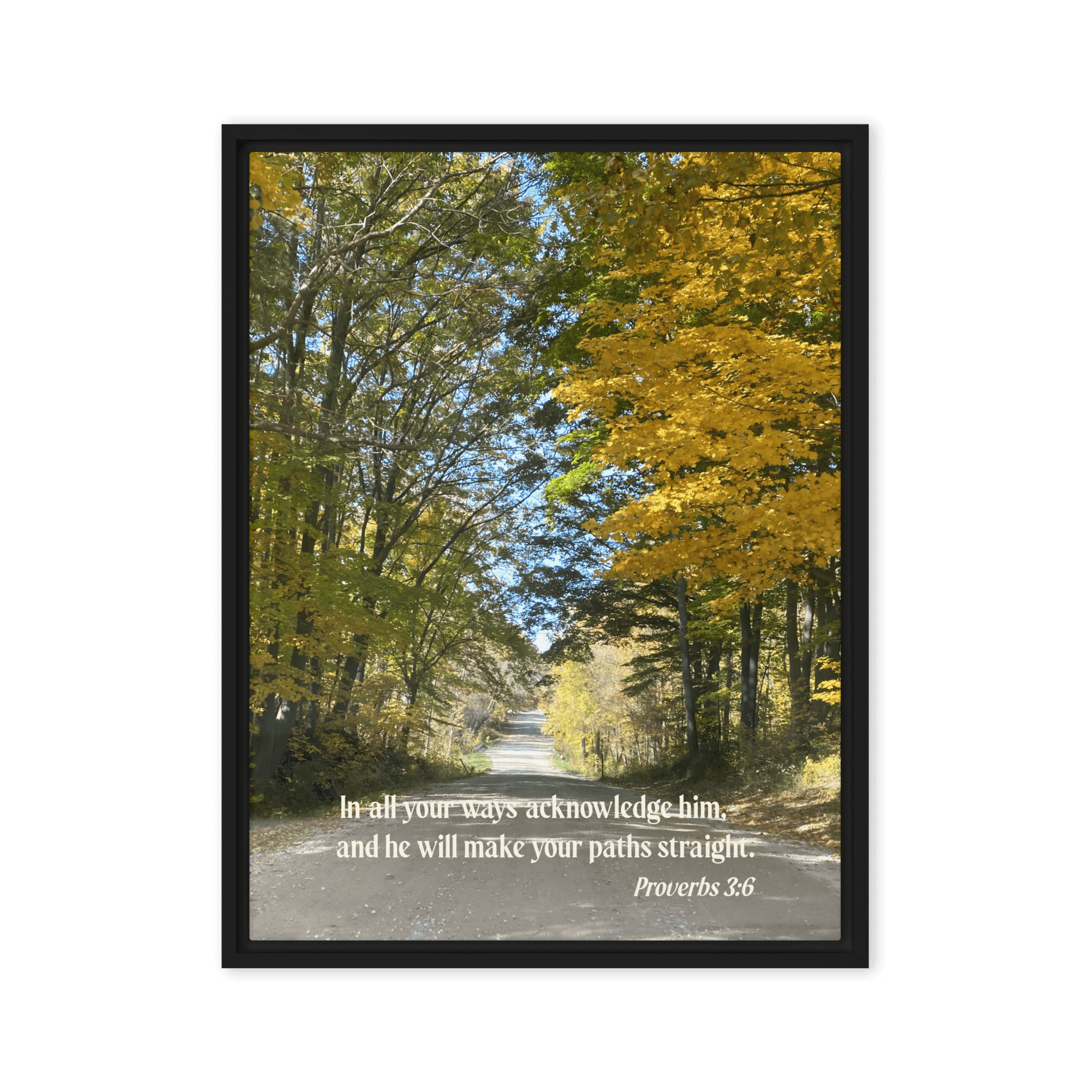 Proverbs 3:6 Bible Verse, Fall Road Framed Canvas Print Wall Art Black 18″×24″