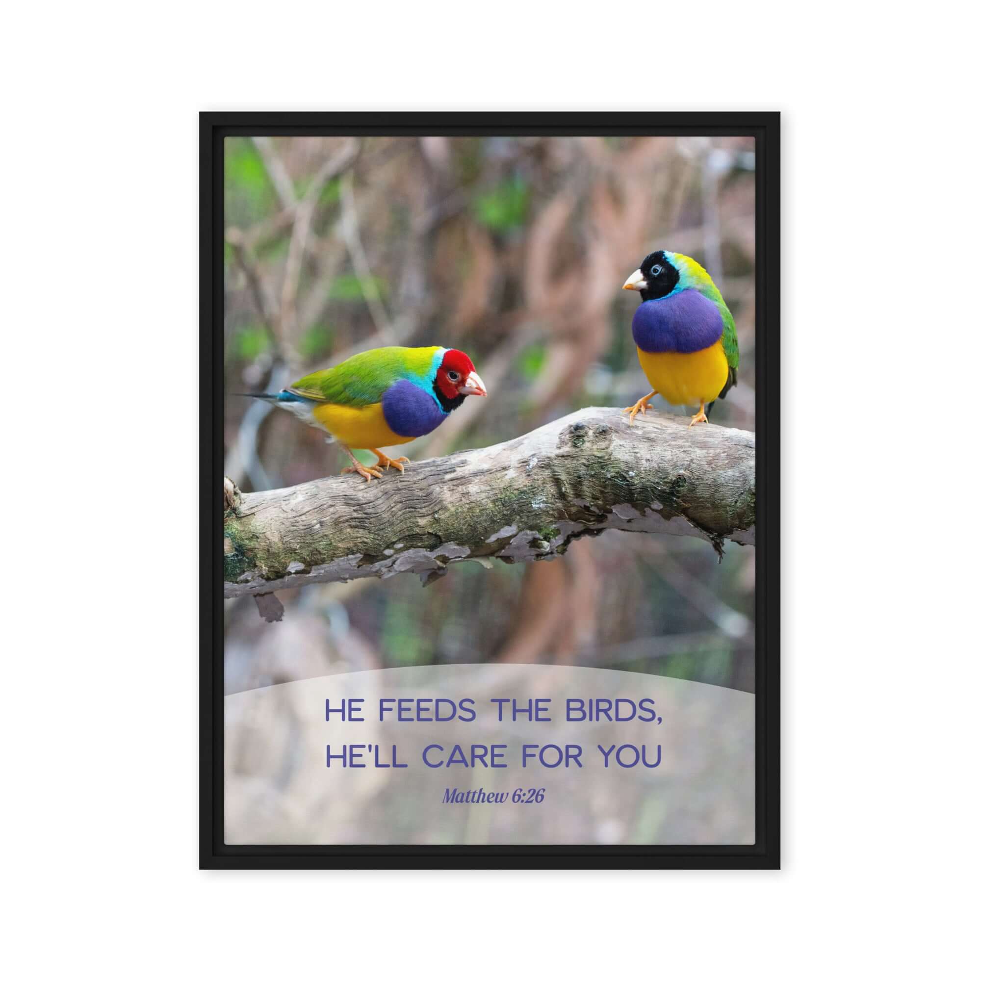 Matthew 6:26 Gouldian Finches, He'll Care for You Framed Canvas Print Wall Art Black 18″×24″