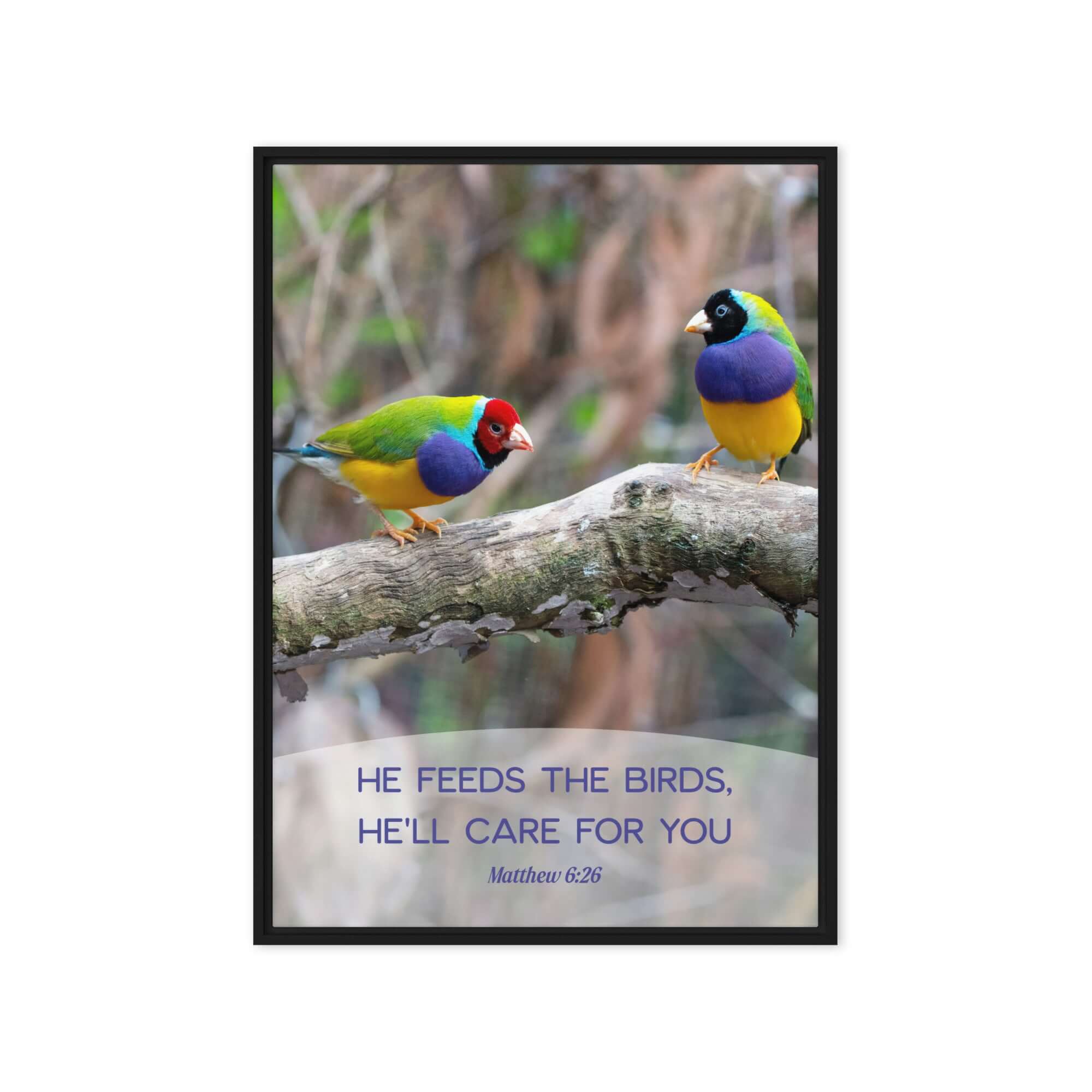 Matthew 6:26 Gouldian Finches, He'll Care for You Framed Canvas Print Wall Art Black 20″×28″