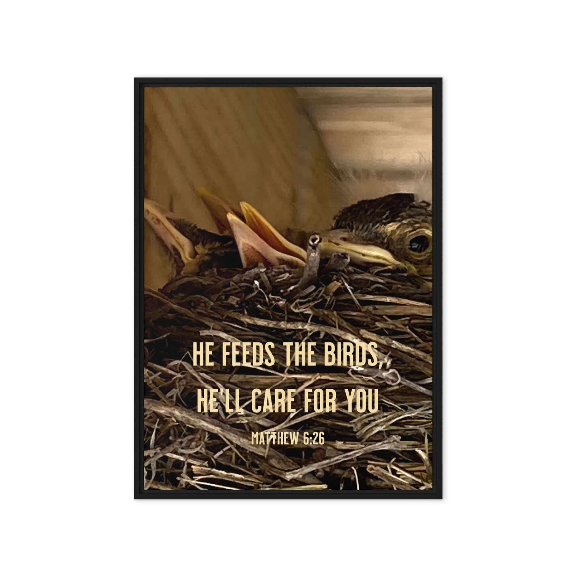 Matthew 6:26 Baby Robins, He'll Care for You Framed Canvas Print Wall Art Black 20″×28″