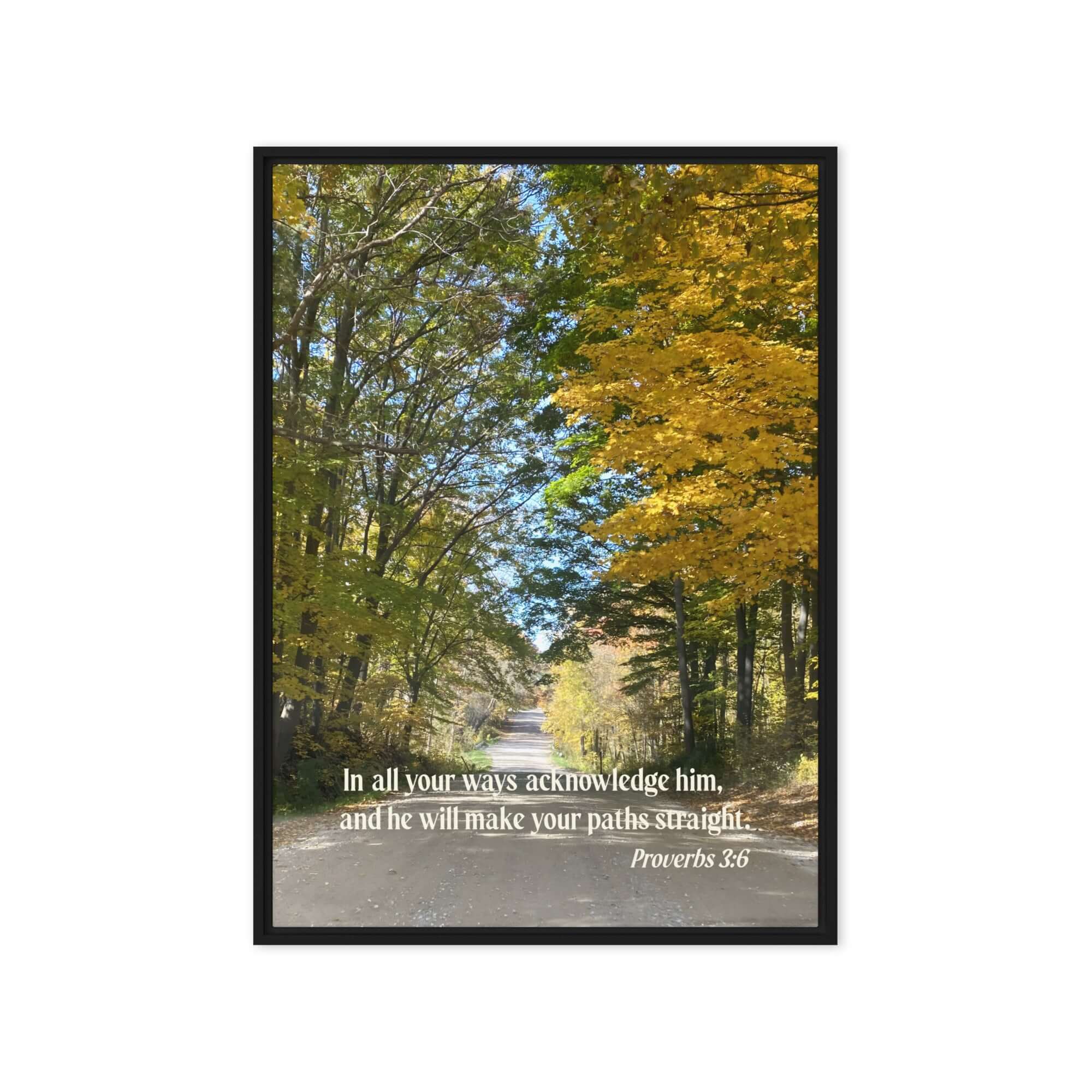 Proverbs 3:6 Bible Verse, Fall Road Framed Canvas Print Wall Art Black 20″×28″