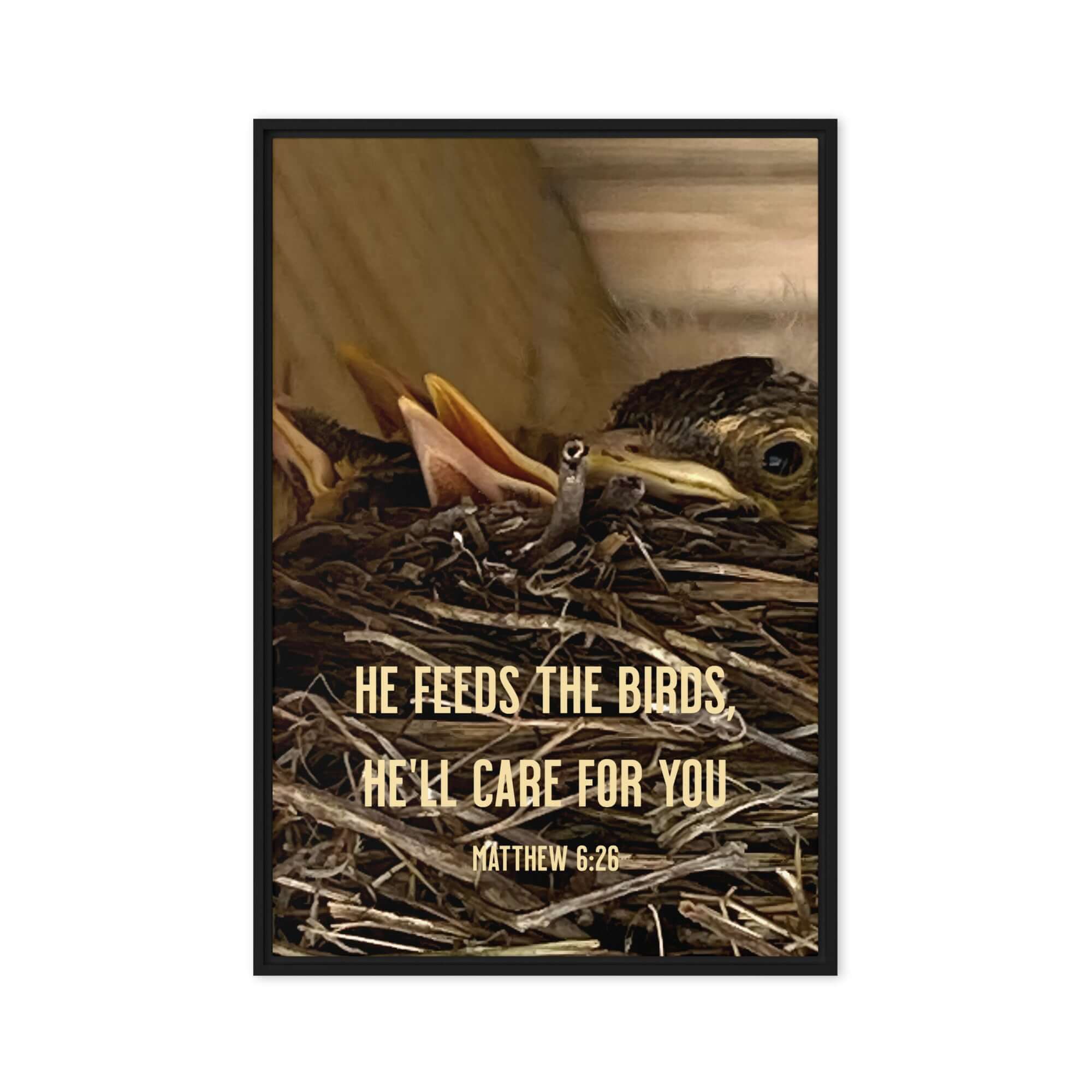 Matthew 6:26 Baby Robins, He'll Care for You Framed Canvas Print Wall Art Black 20″×30″