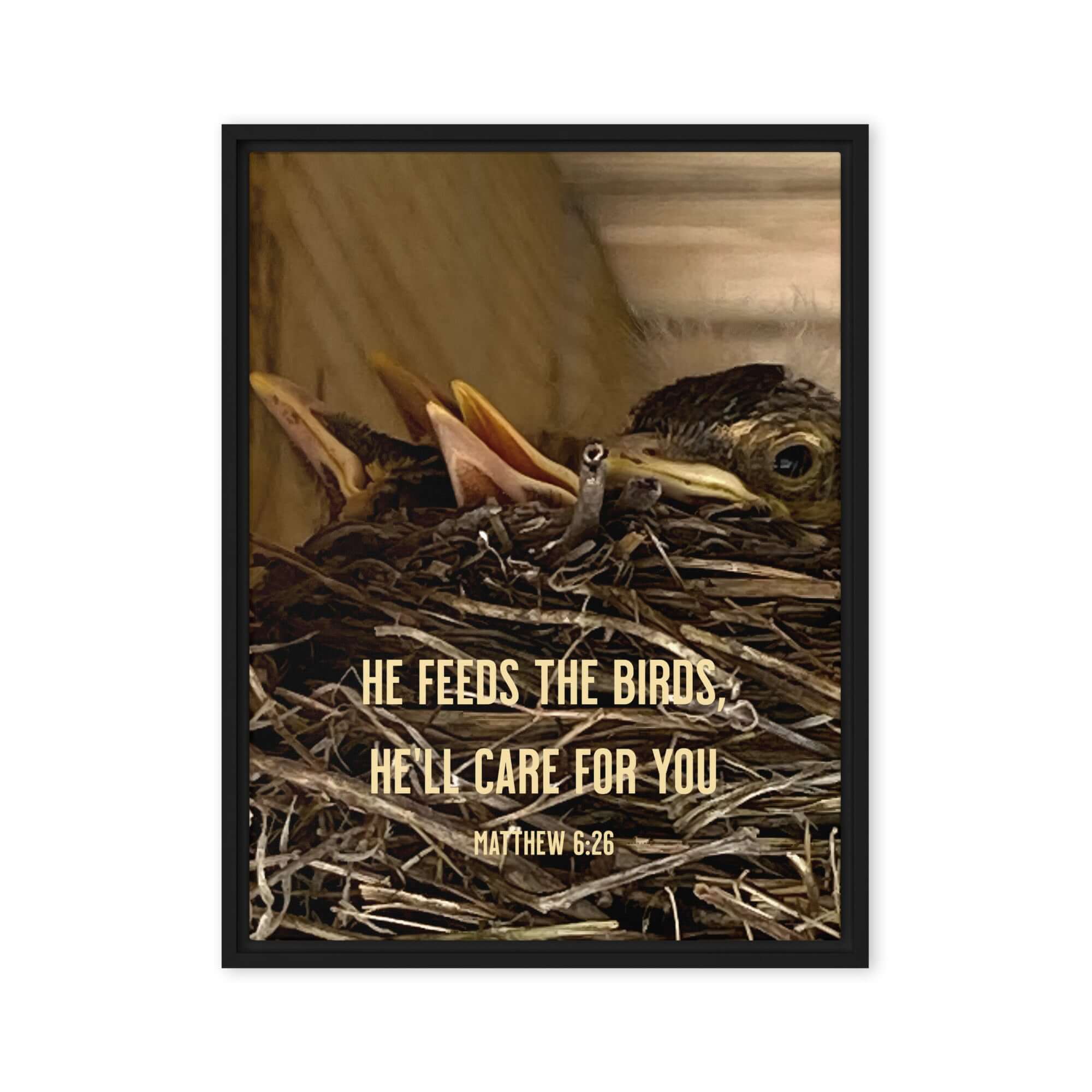 Matthew 6:26 Baby Robins, He'll Care for You Framed Canvas Print Wall Art Black 24″×32″