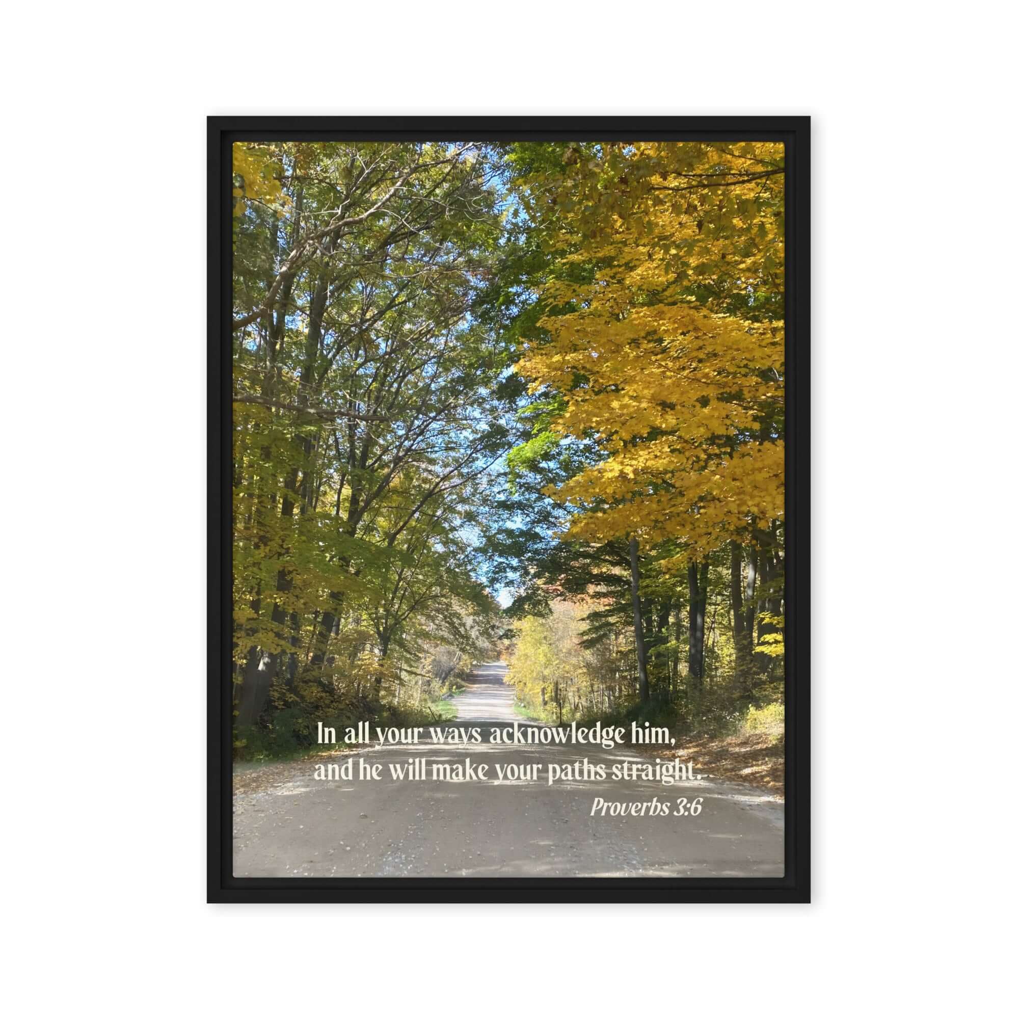 Proverbs 3:6 Bible Verse, Fall Road Framed Canvas Print Wall Art Black 24″×32″