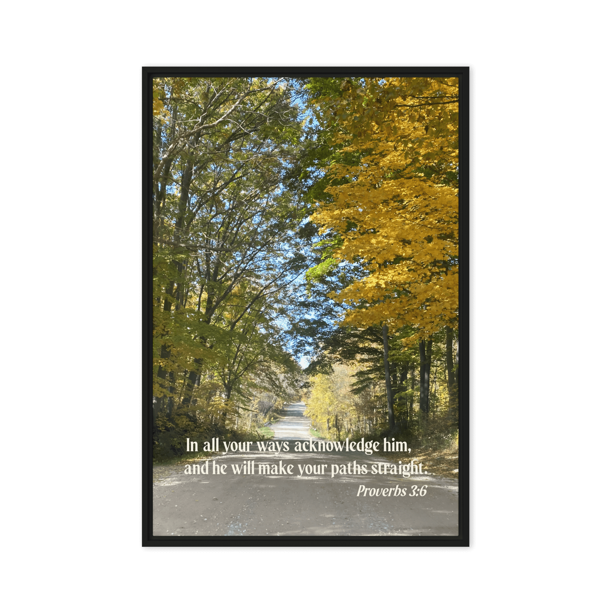 Proverbs 3:6 Bible Verse, Fall Road Framed Canvas Print Wall Art Black 24″×36″