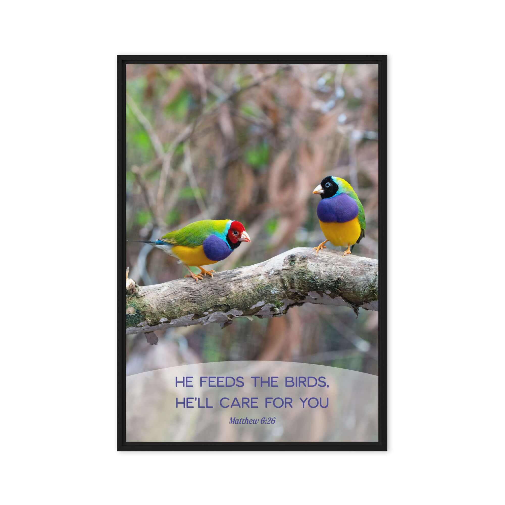 Matthew 6:26 Gouldian Finches, He'll Care for You Framed Canvas Print Wall Art Black 24″×36″