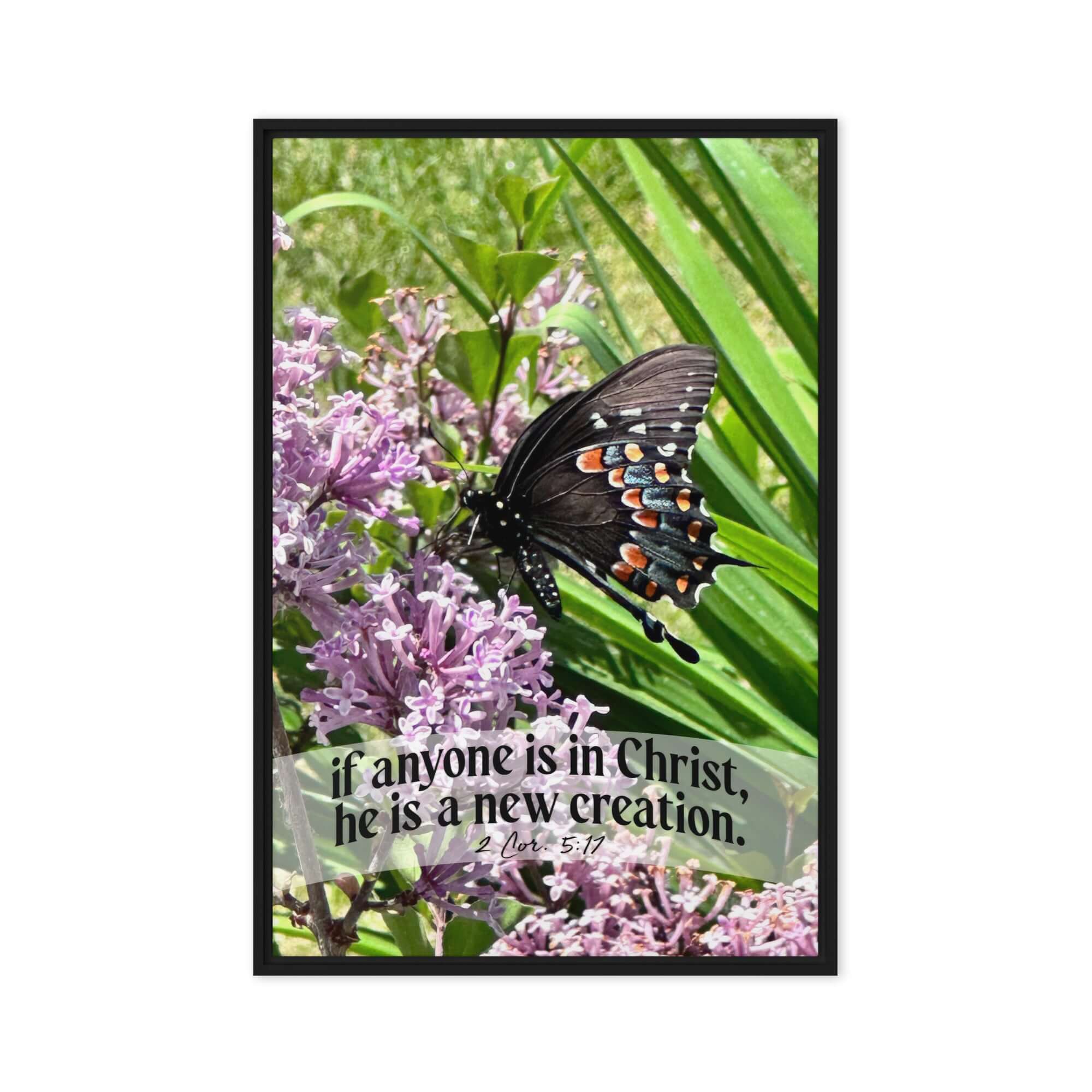 2 Corinthians 5:17 Bible Verse, Butterfly Framed Canvas Print Wall Art Black 24″×36″