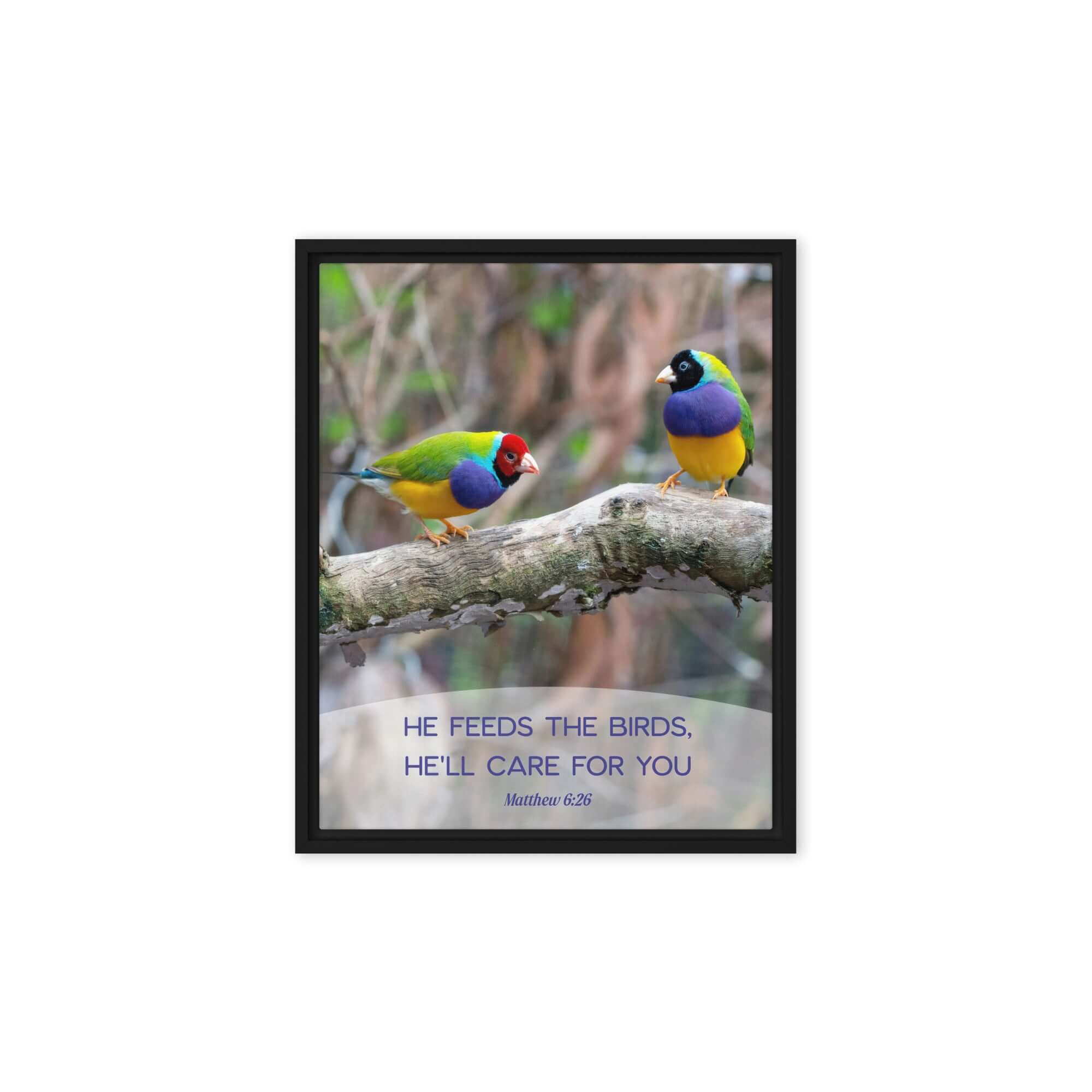 Matthew 6:26 Gouldian Finches, He'll Care for You Framed Canvas Print Wall Art Black 8″×10″