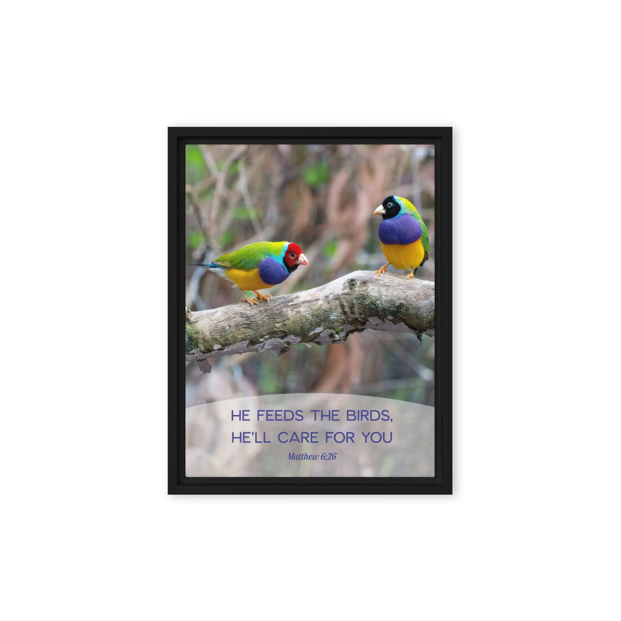 Matthew 6:26 Gouldian Finches, He'll Care for You Framed Canvas Print Wall Art Black 9″×12″