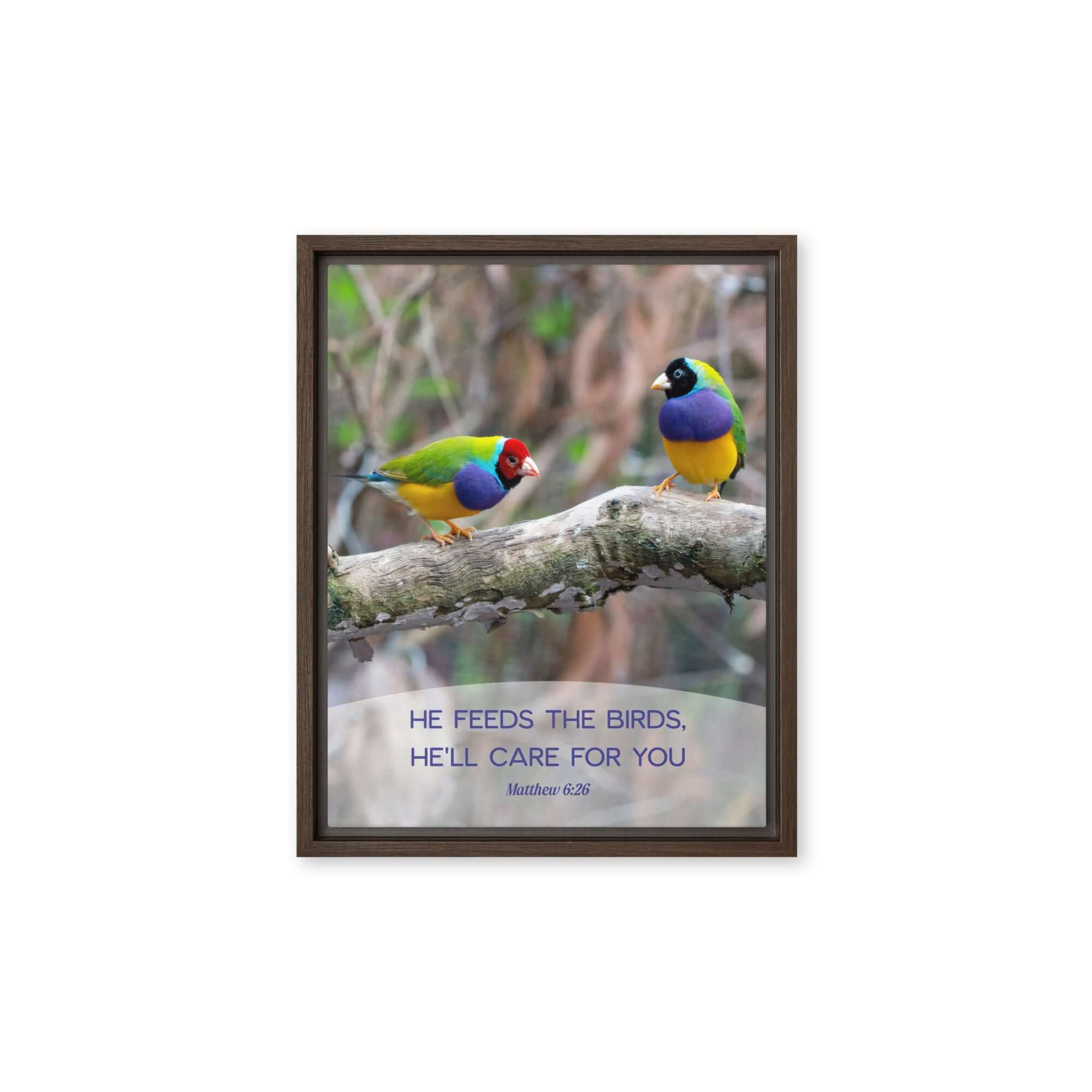 Matthew 6:26 Gouldian Finches, He'll Care for You Framed Canvas Print Wall Art Brown 11″×14″