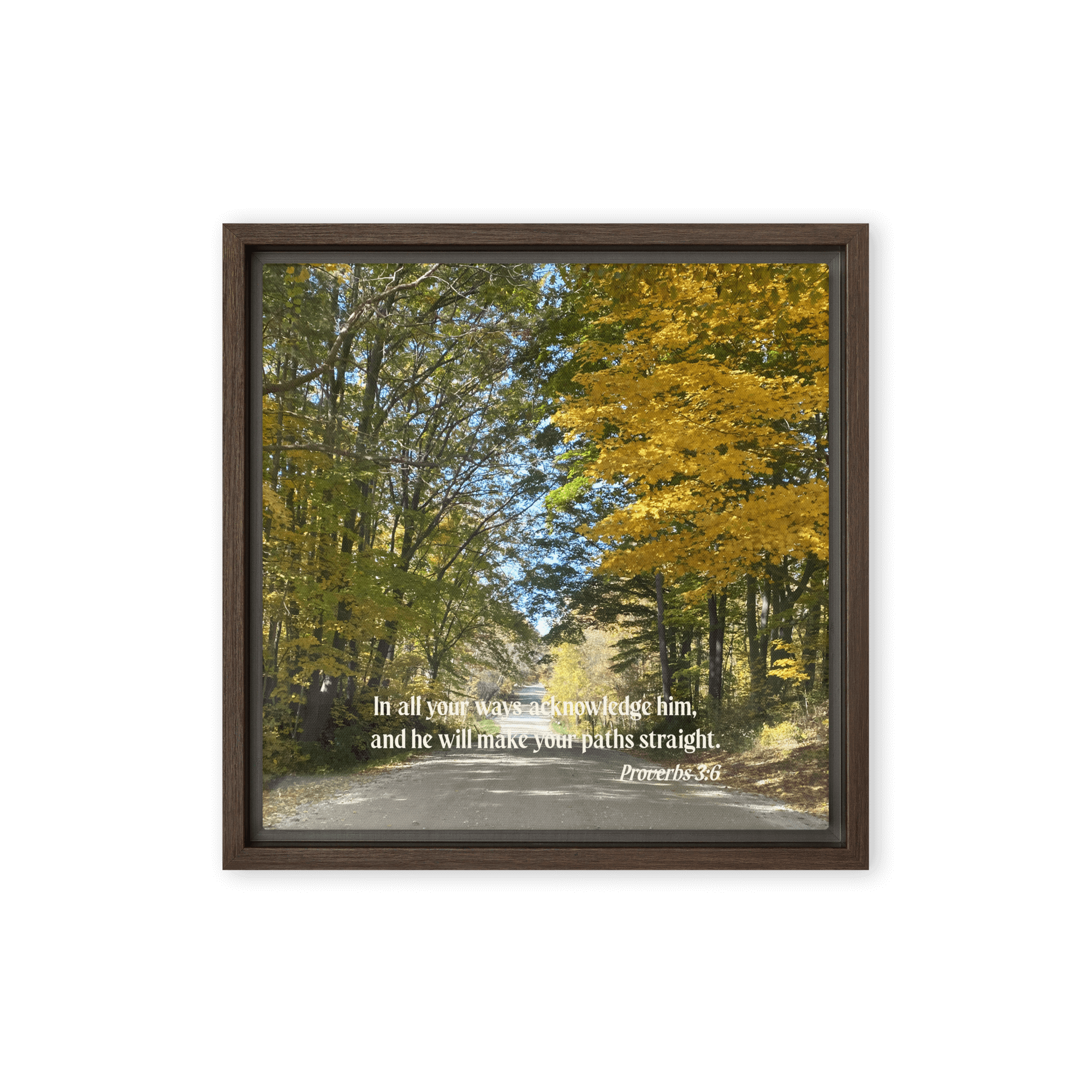 Proverbs 3:6 Bible Verse, Fall Road Framed Canvas Print Wall Art Brown 12″×12″